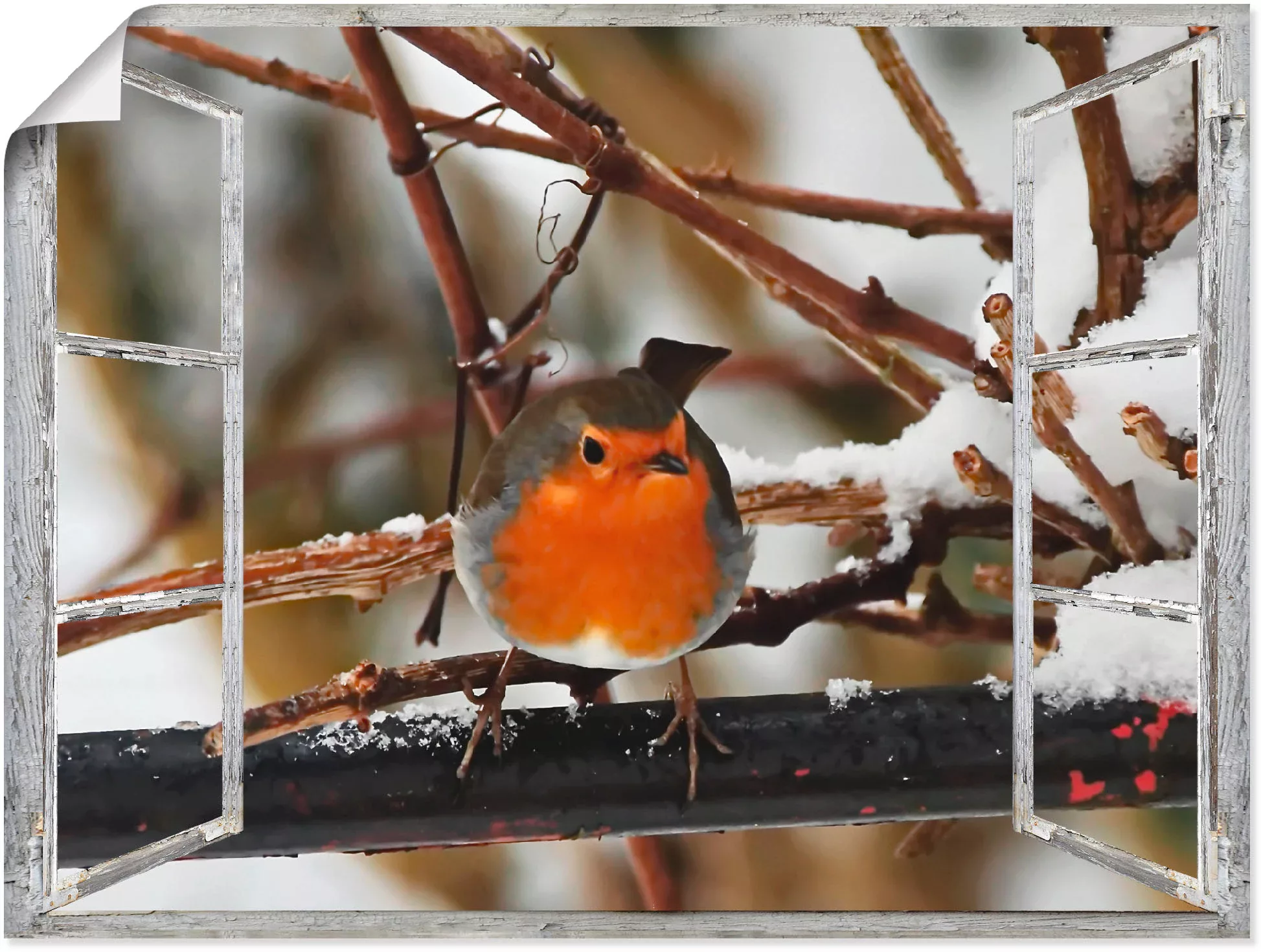 Artland Wandbild "Fensterbild - Rotkehlchen", Vögel, (1 St.), als Poster, W günstig online kaufen
