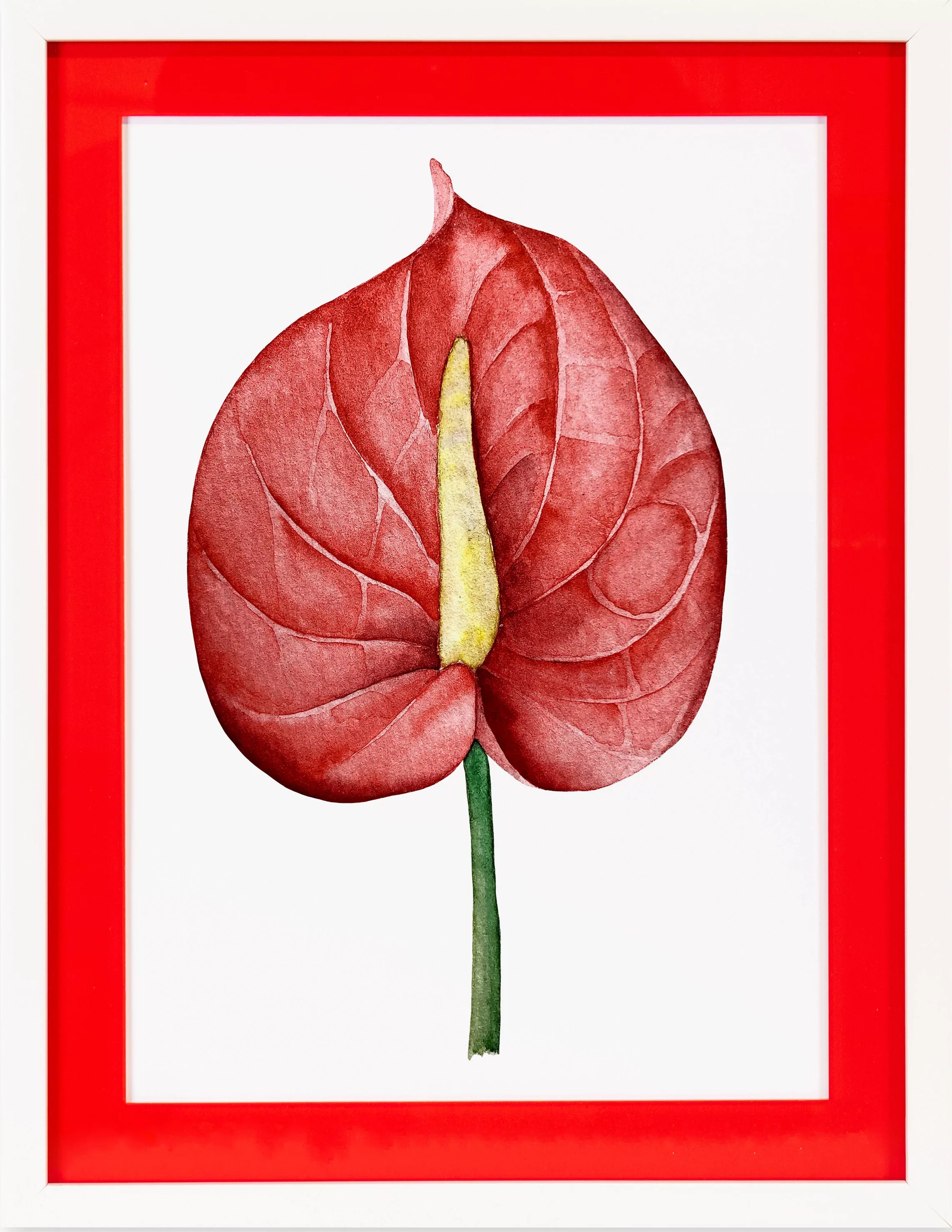 queence Bild mit Rahmen "Blüte, rot, Stempel", Blumen-Blumenbilder, (1 St.) günstig online kaufen