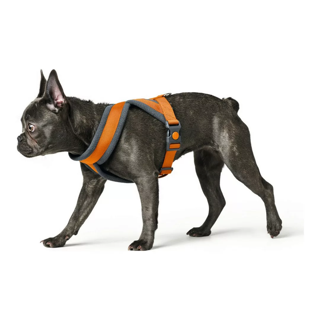 Hunter Hunde-Geschirr Geschirr London Comfort günstig online kaufen