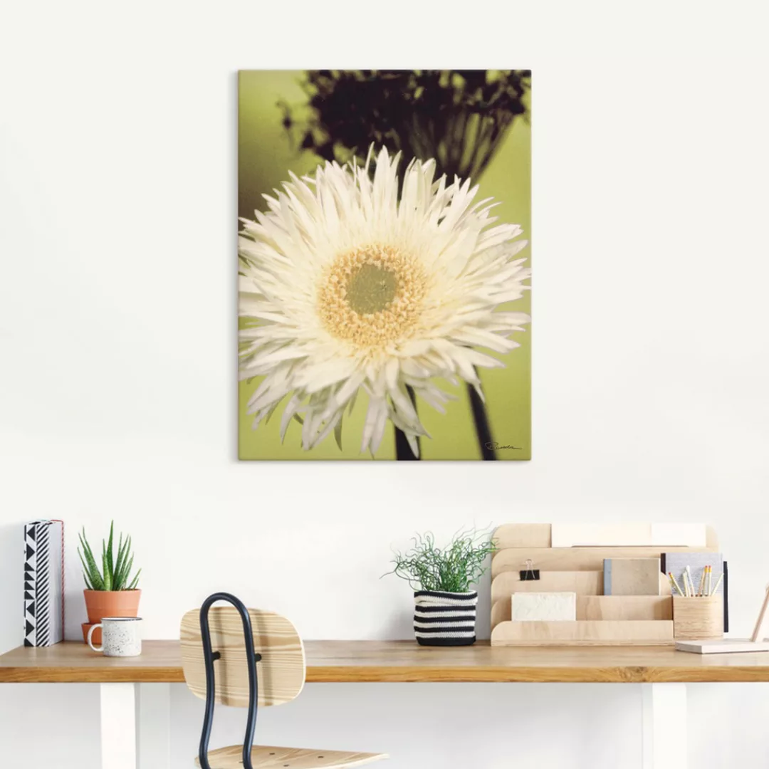 Artland Leinwandbild "Eine vor grün - Gerbera", Blumenbilder, (1 St.) günstig online kaufen