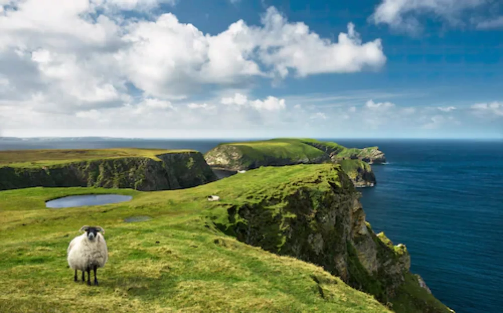 KOMAR Vlies Fototapete - Green Ireland - Größe 450 x 280 cm mehrfarbig günstig online kaufen