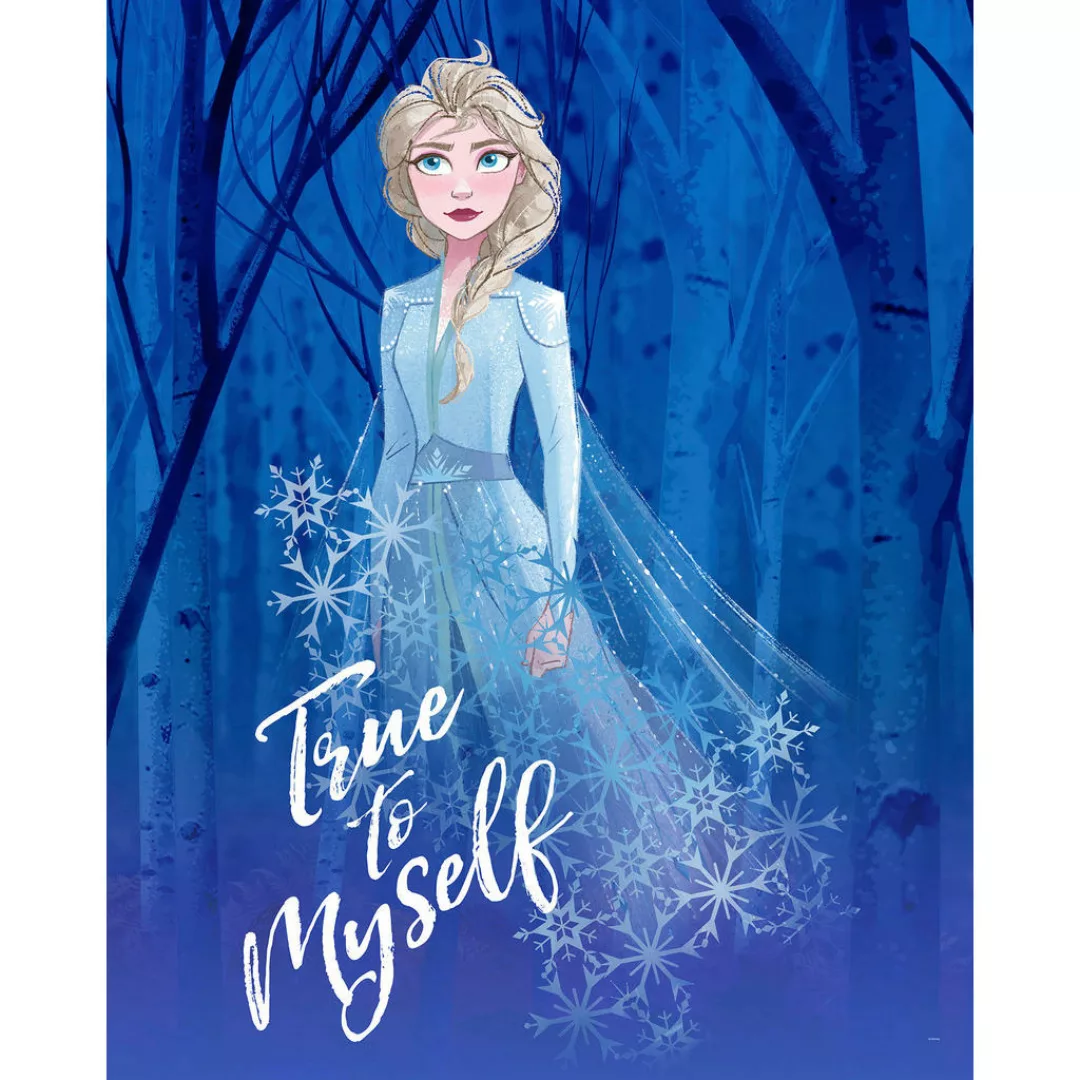 Komar Wandbild Frozen 2 Elsa true to myself Disney B/L: ca. 40x50 cm günstig online kaufen