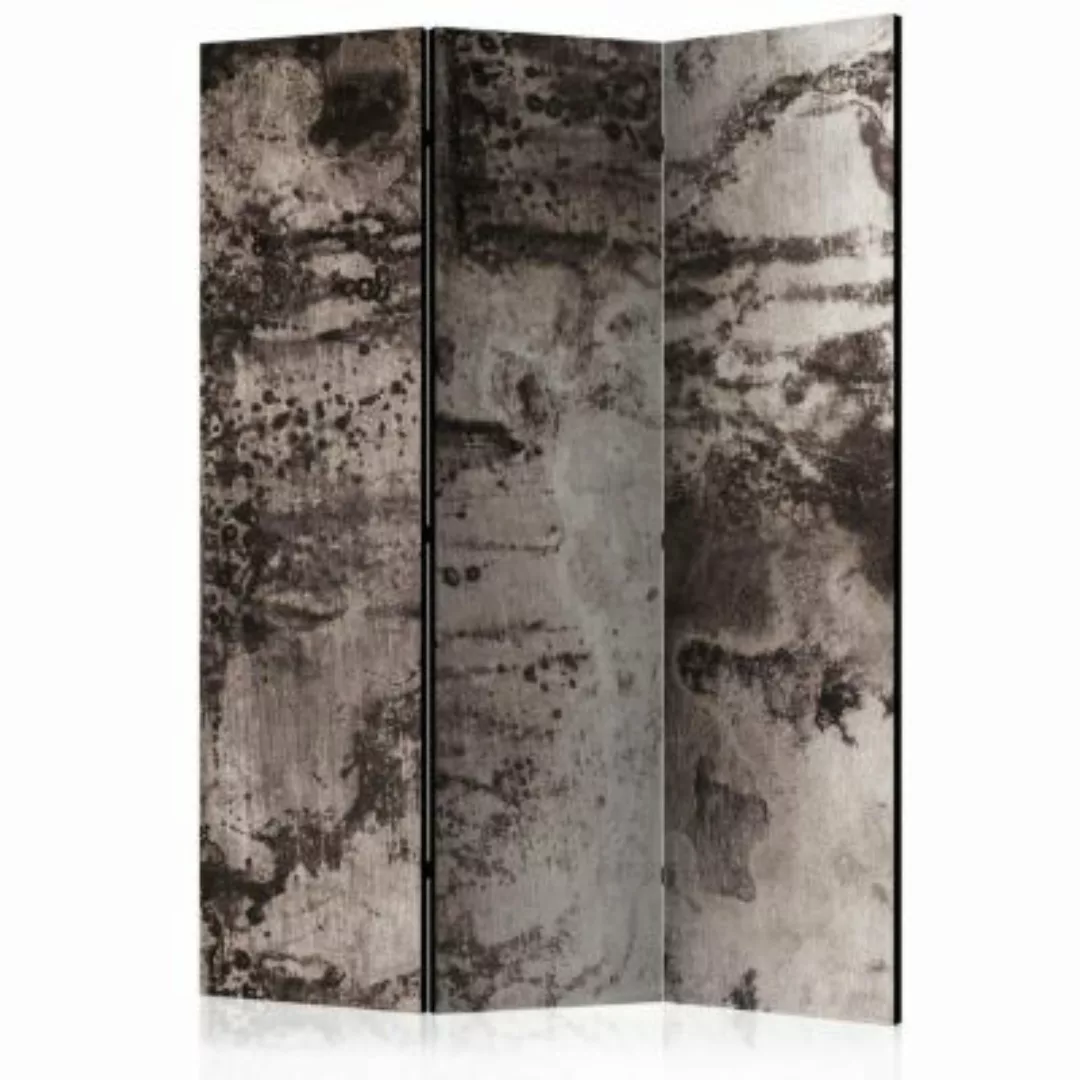 artgeist Paravent Old Metal [Room Dividers] grau Gr. 135 x 172 günstig online kaufen
