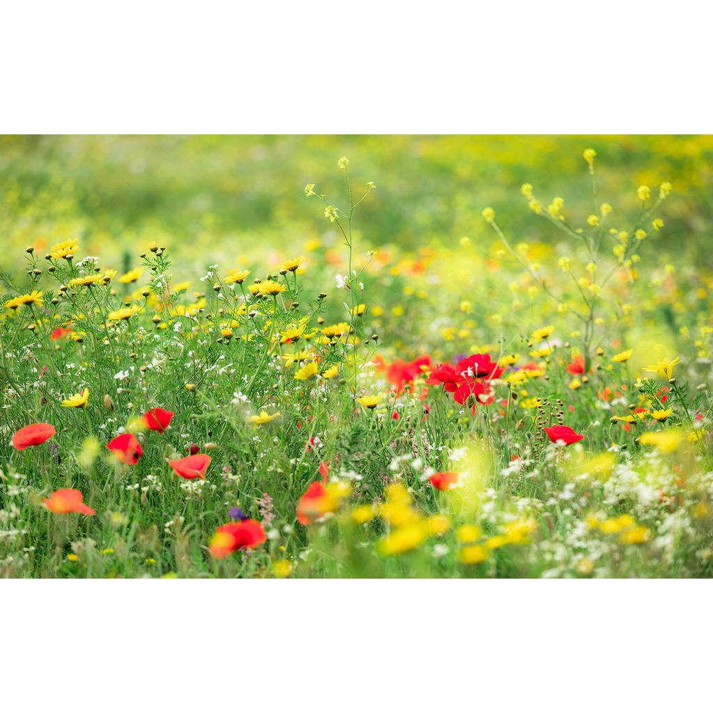 Sanders & Sanders Fototapete Blumen Grün 450 x 280 cm 612676 günstig online kaufen