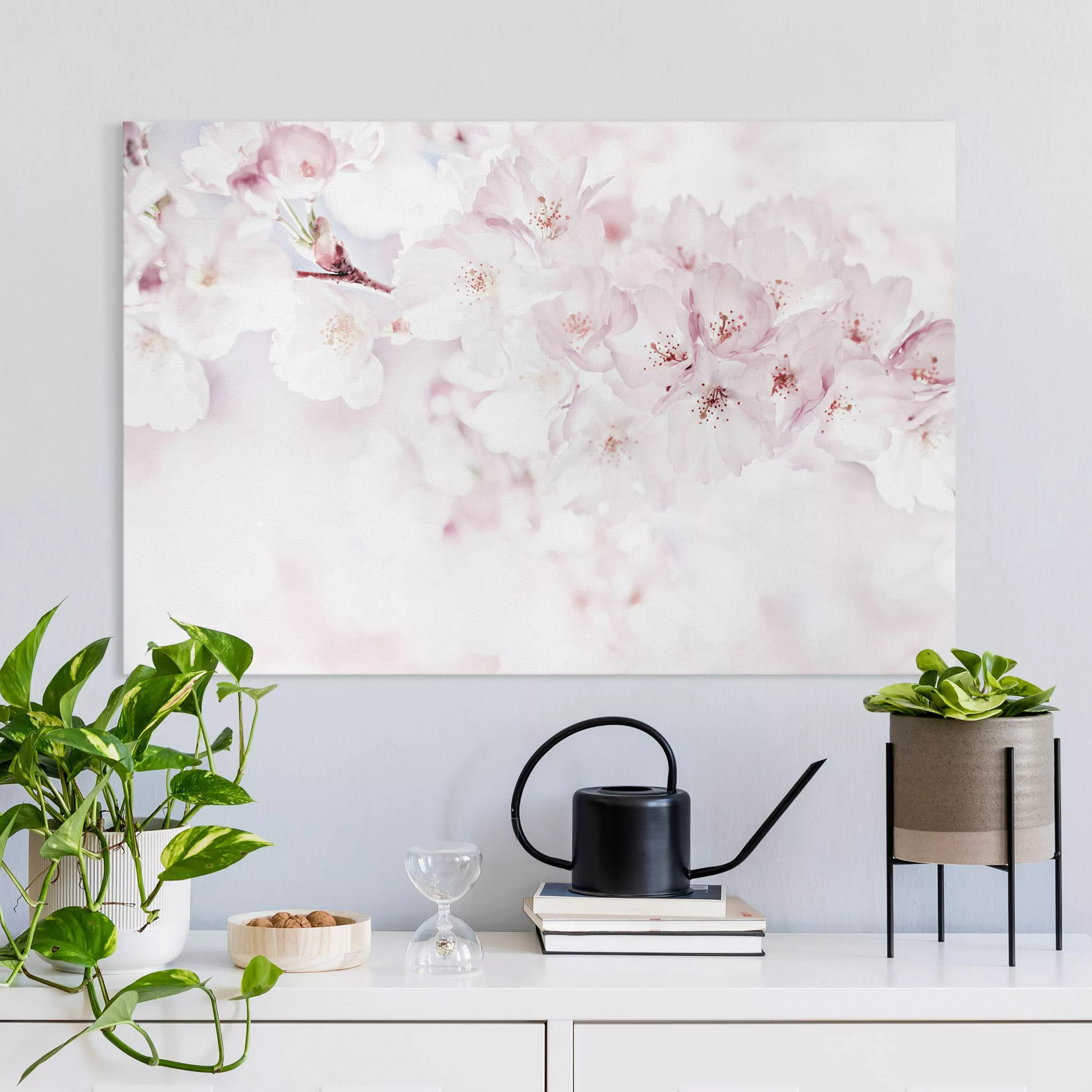 Leinwandbild Ein Kirschblütenhauch günstig online kaufen