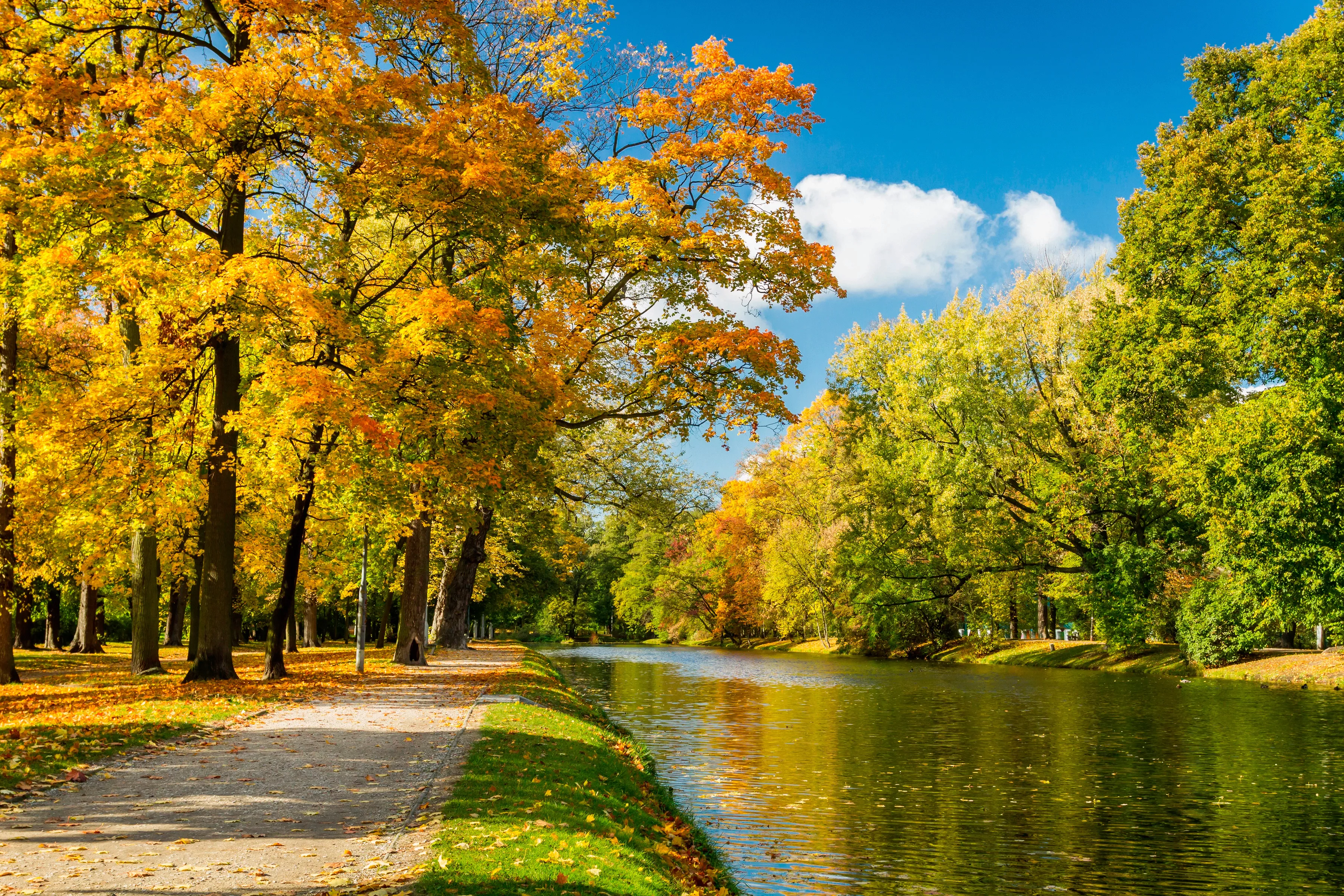 Papermoon Fototapete »River in Autumn Park« günstig online kaufen