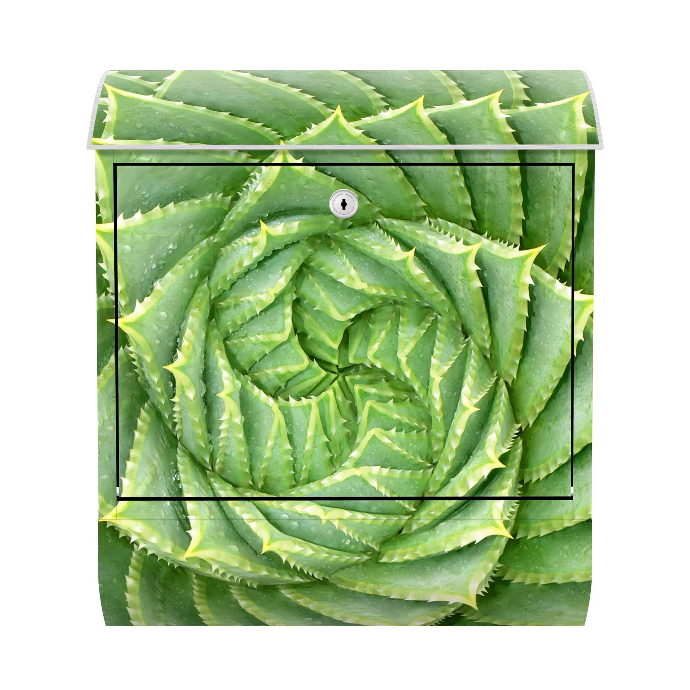 Briefkasten Botanik & Tropical Spiral Aloe günstig online kaufen