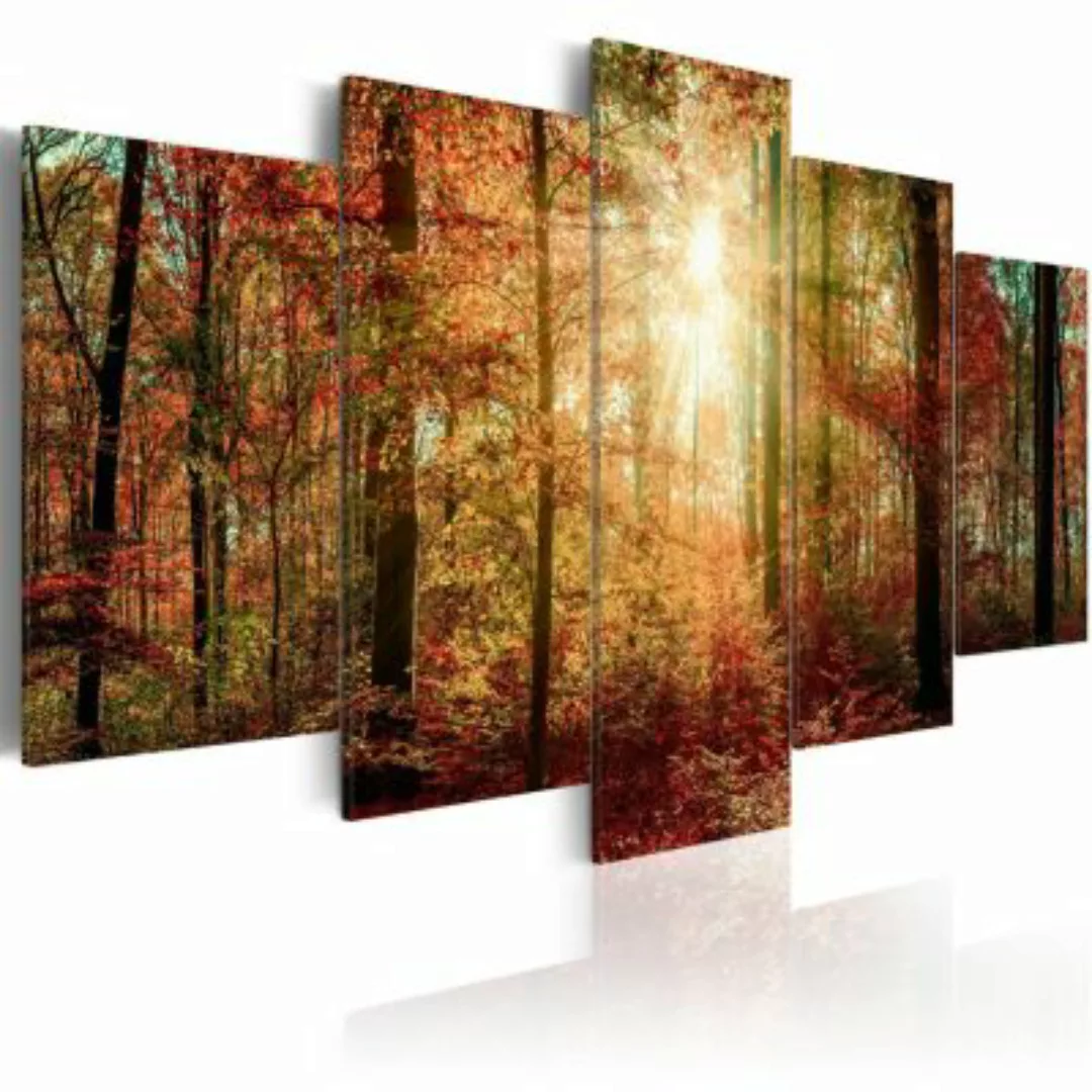 artgeist Wandbild Autumn Wilderness mehrfarbig Gr. 200 x 100 günstig online kaufen