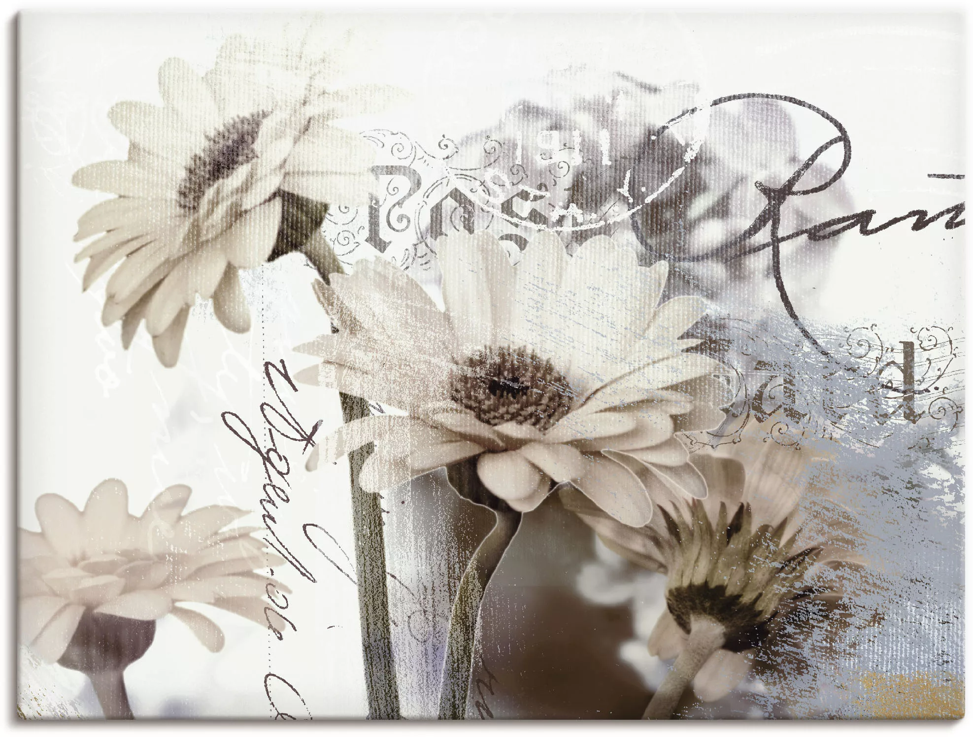 Artland Wandbild »Gerberas_Detail«, Blumenbilder, (1 St.), als Leinwandbild günstig online kaufen