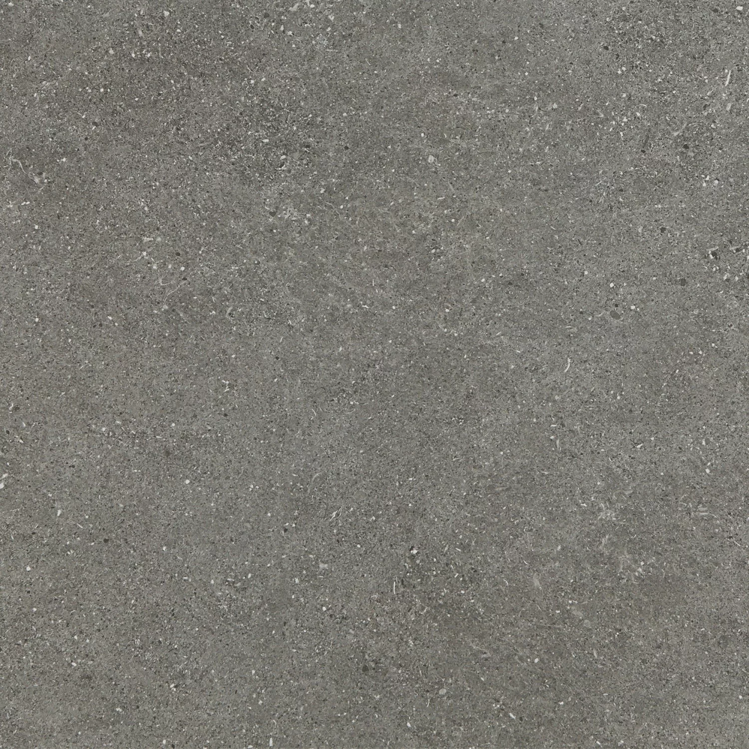 Feinsteinzeug Pebblestone glasiert matt rektifiziert 60x60x1 cm günstig online kaufen
