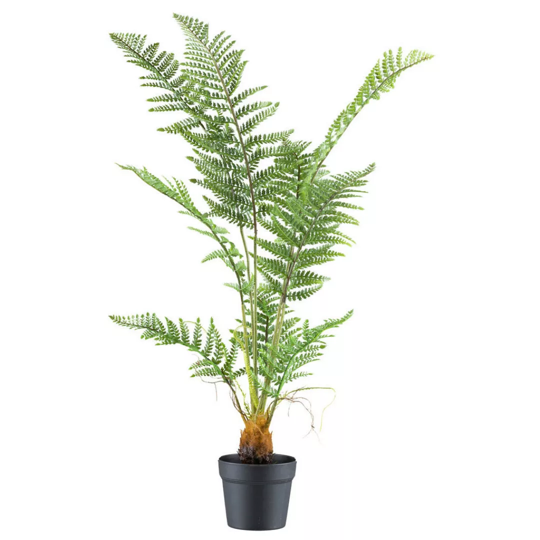 Kunstpflanze Pteris tremula Farn grün Kunststoff B/H/L: ca. 20x100x20 cm günstig online kaufen