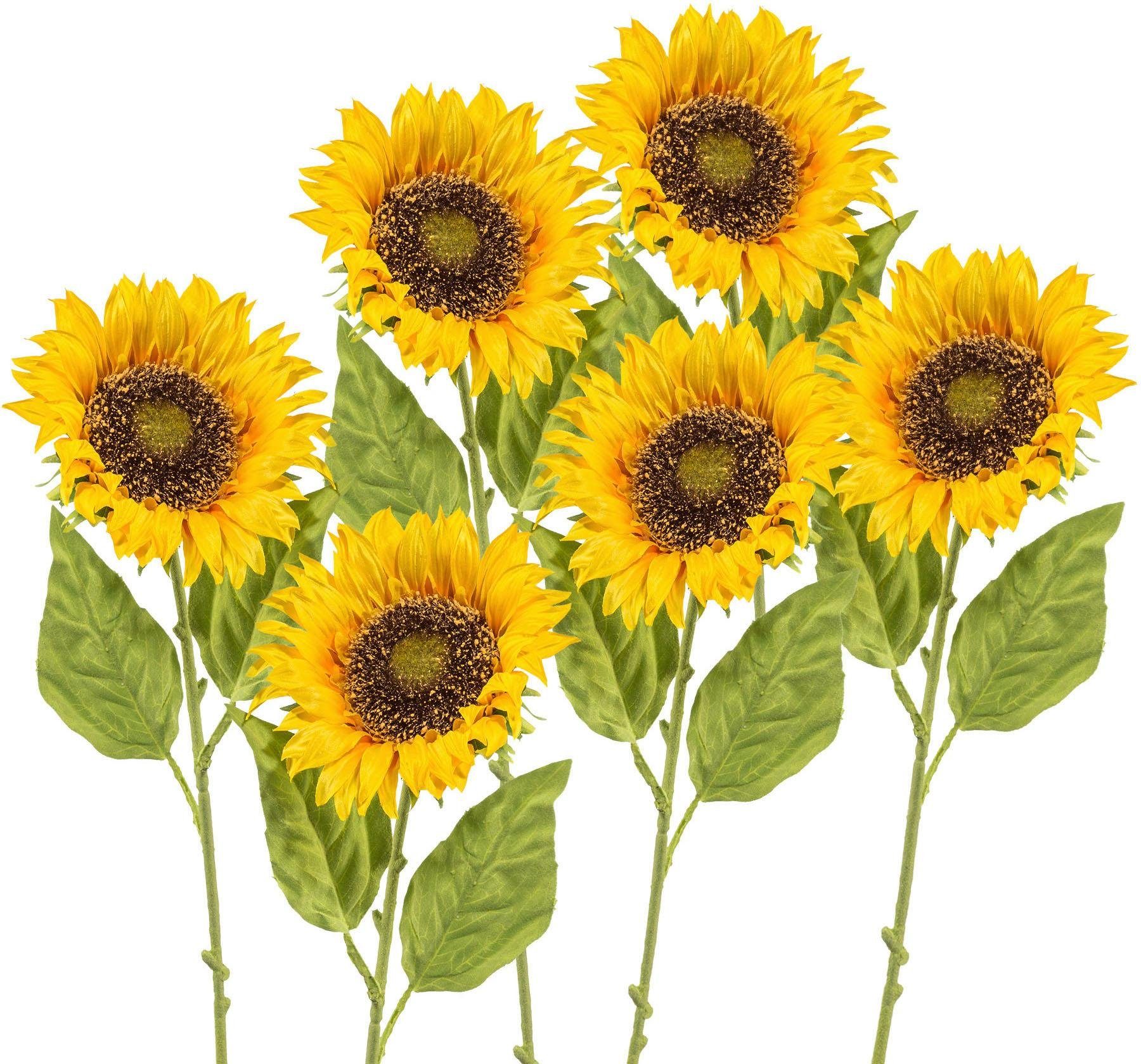 Kunstblume, Creativ green, Höhe 66 cm, günstig online kaufen