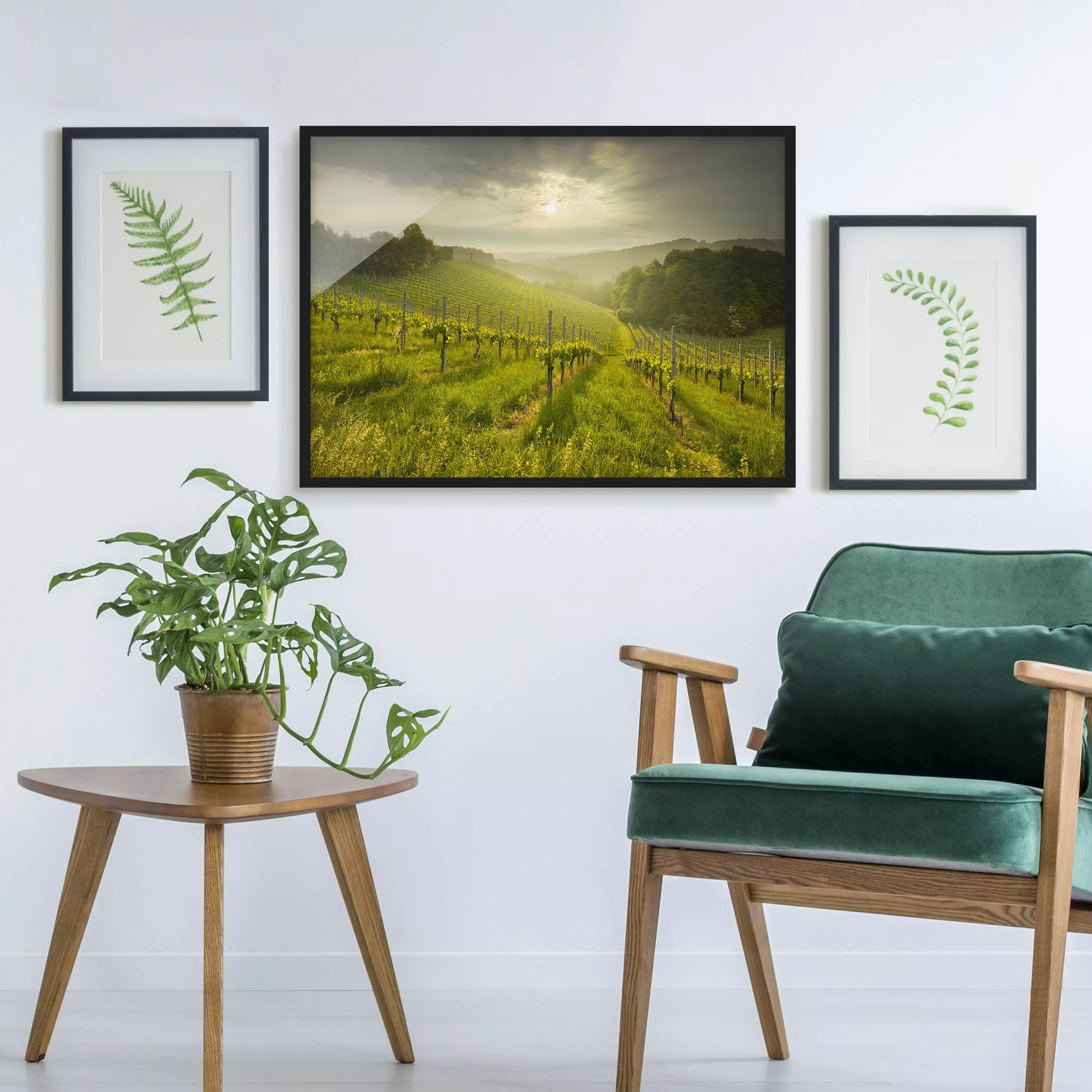 Bild mit Rahmen Natur & Landschaft - Querformat Sonnenstrahlen Weinberg günstig online kaufen