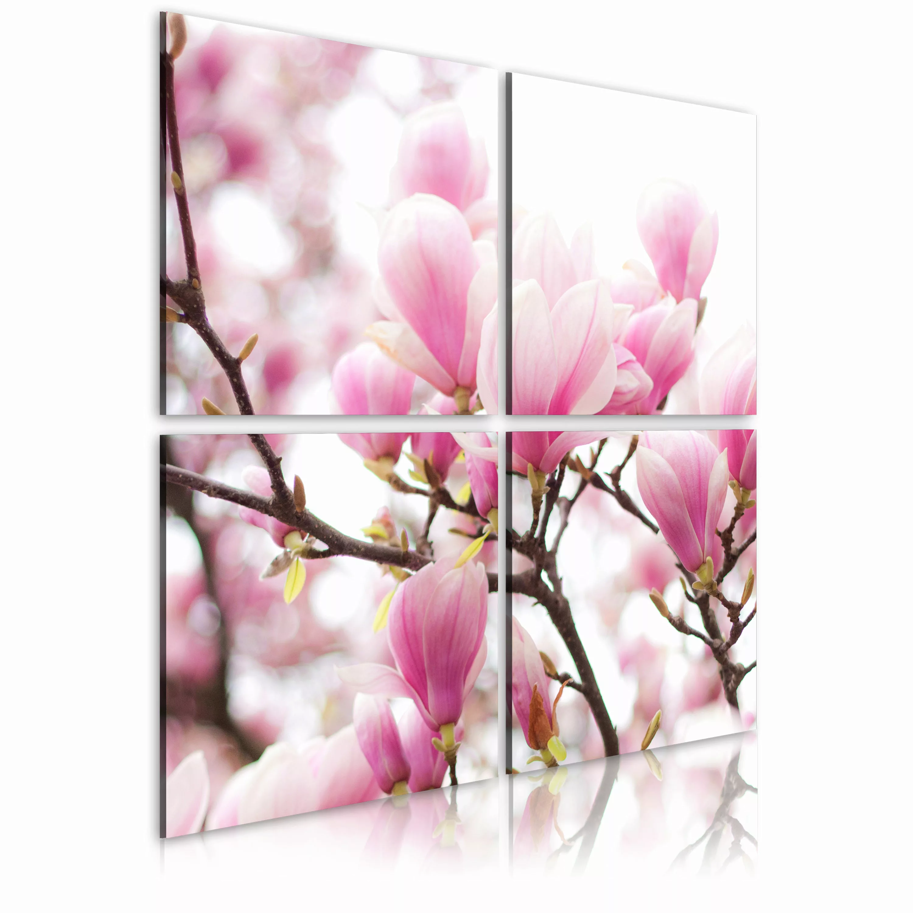 Wandbild - Blühender Magnolienbaum günstig online kaufen