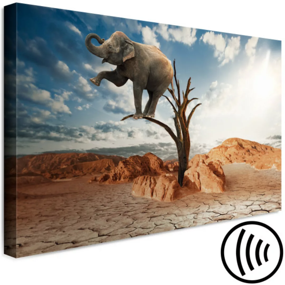 Wandbild Surreal Elephant (1 Part) Wide XXL günstig online kaufen