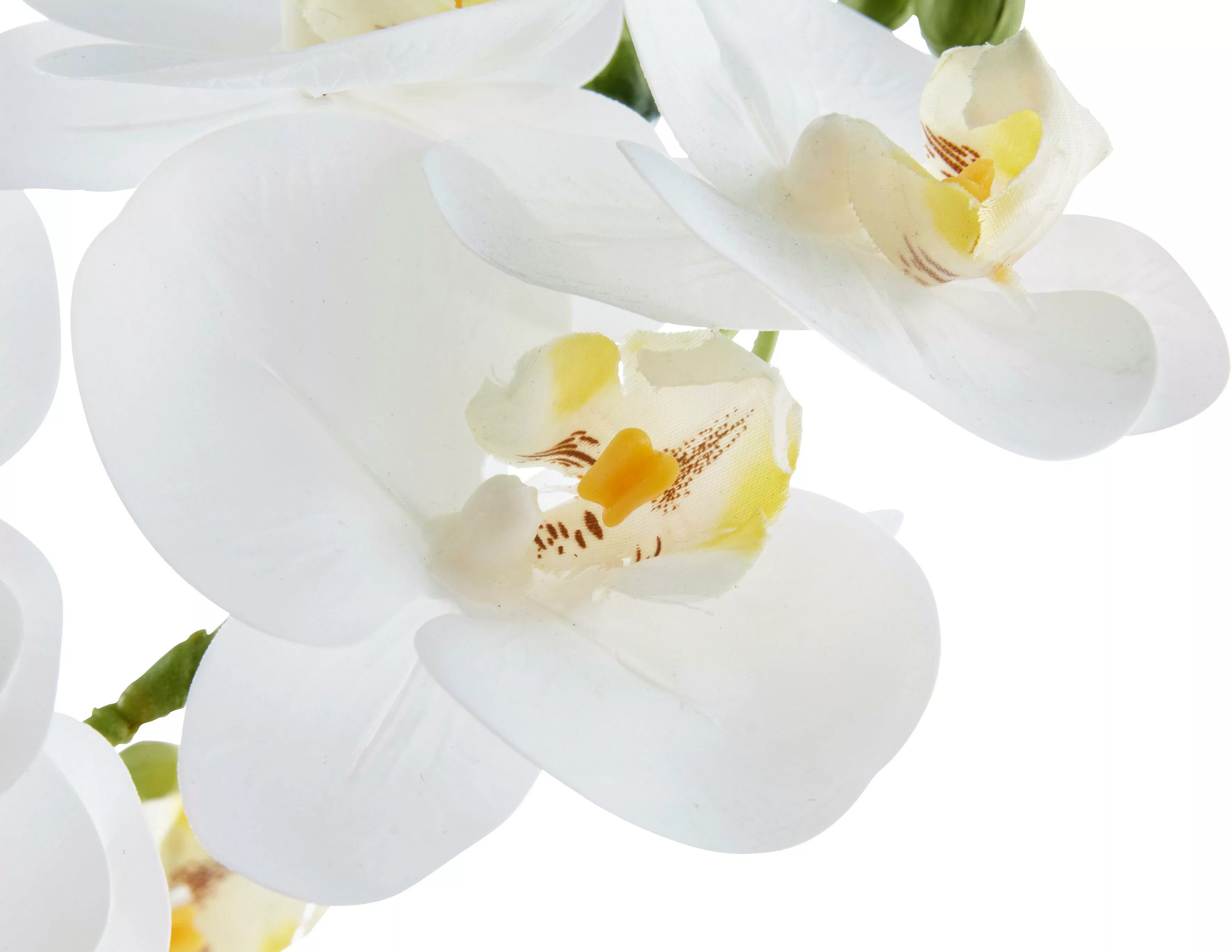 Leonique Kunstpflanze "Orchidee", Kunstorchidee, im Topf günstig online kaufen