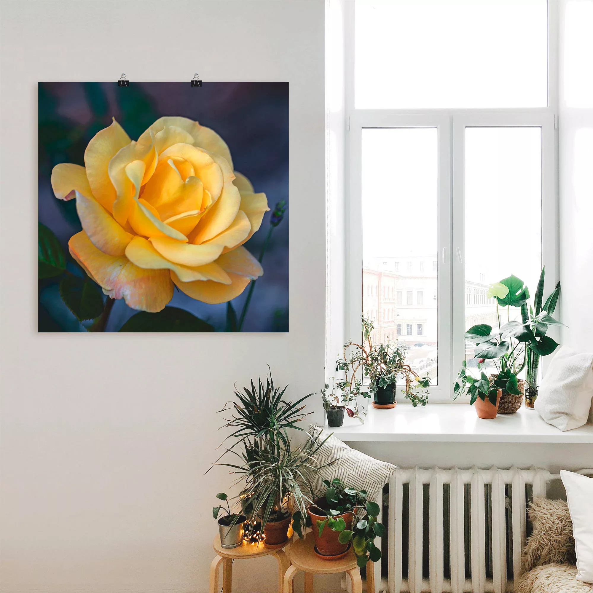 Artland Wandbild "Gelbe Rose", Blumen, (1 St.), als Leinwandbild, Poster in günstig online kaufen