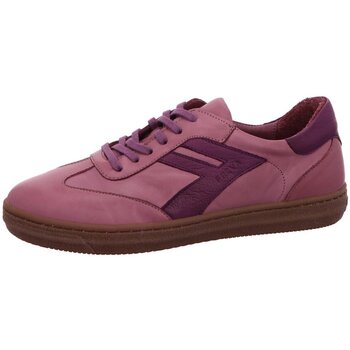 Andrea Conti  Halbschuhe Schnuerschuhe Sneaker 0067151/1812 günstig online kaufen