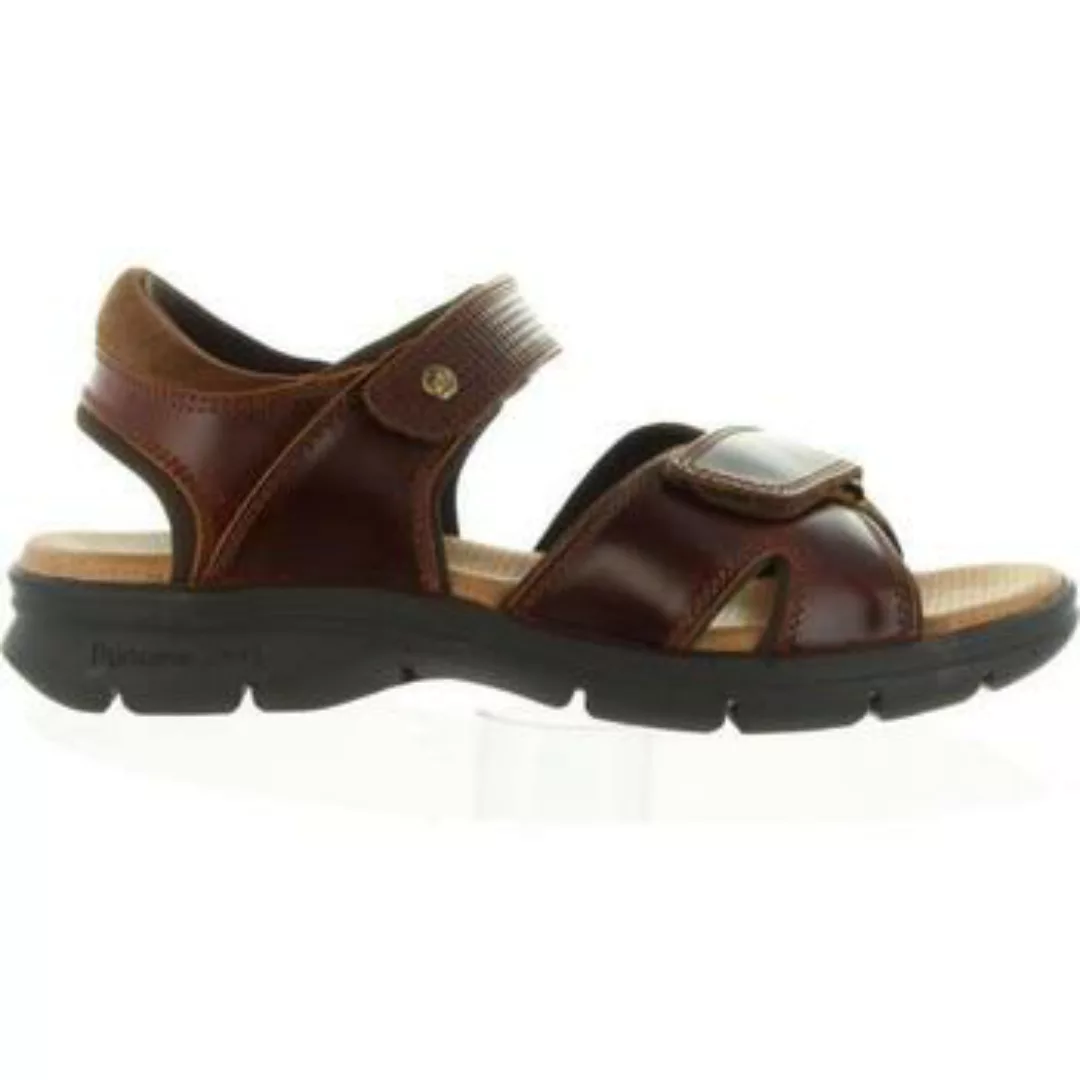 Panama Jack  Sandalen SANDERS CLAY C1 günstig online kaufen