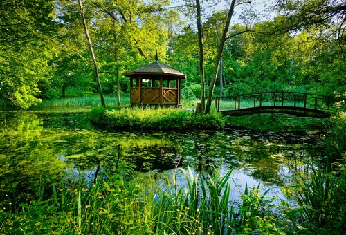 Papermoon Fototapete »GARTEN-BLUMEN BÄUME PFLANZEN PARK STEINE BLÜTEN WALD« günstig online kaufen