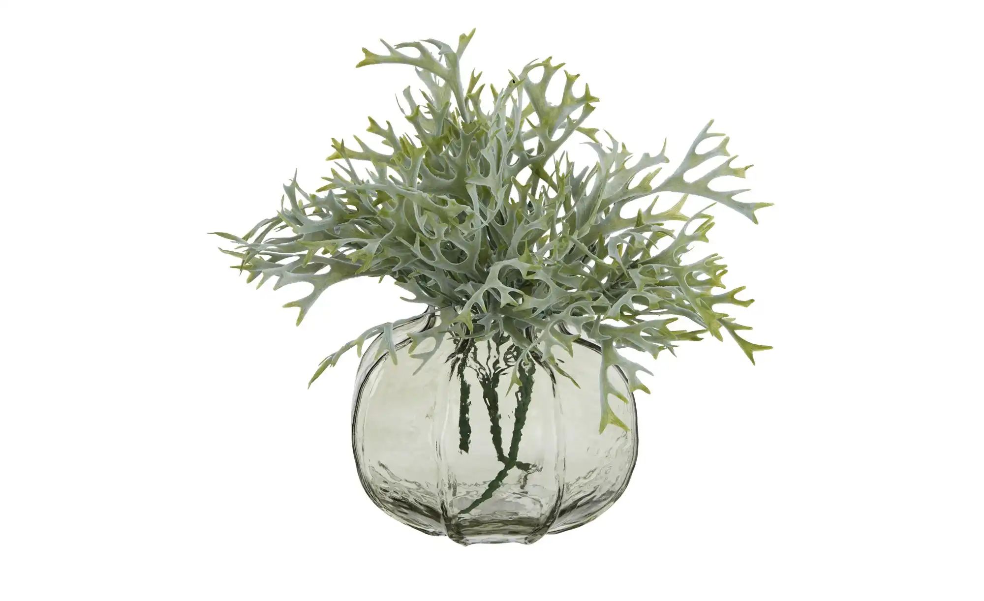 HOME STORY Vase   ¦ grau ¦ Glas ¦ Maße (cm): H: 14,8  Ø: 20 Accessoires > V günstig online kaufen