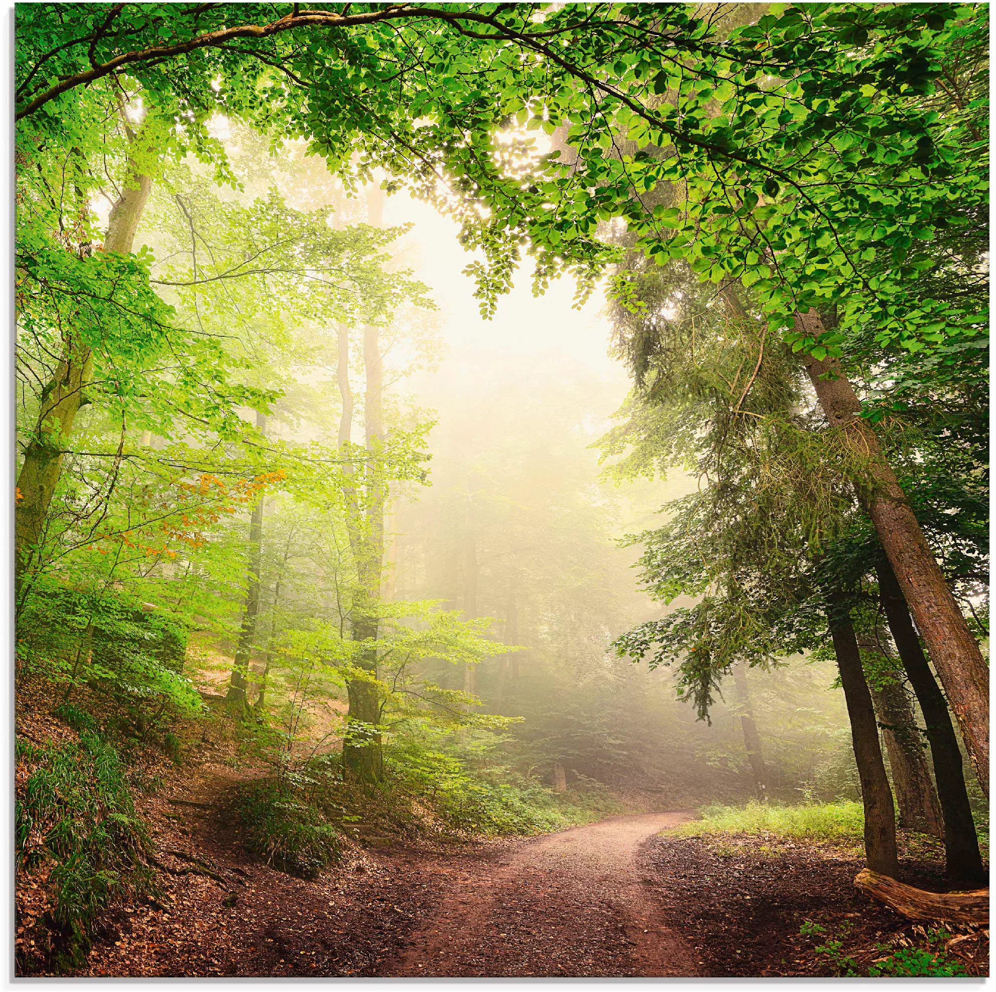 Artland Glasbild "Natürliche Torbögen durch Bäume", Wald, (1 St.), in versc günstig online kaufen