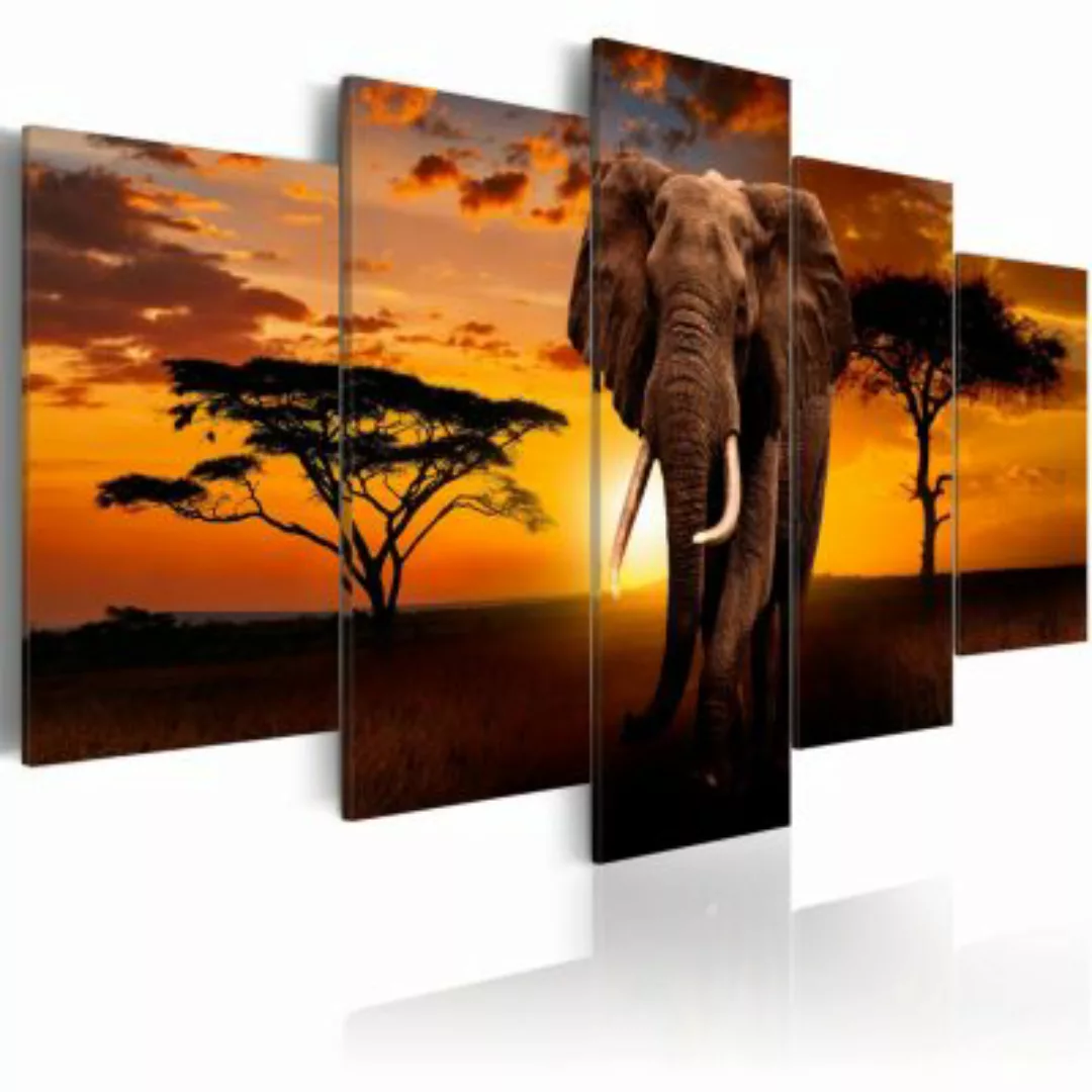 artgeist Wandbild The Savannah King mehrfarbig Gr. 200 x 100 günstig online kaufen