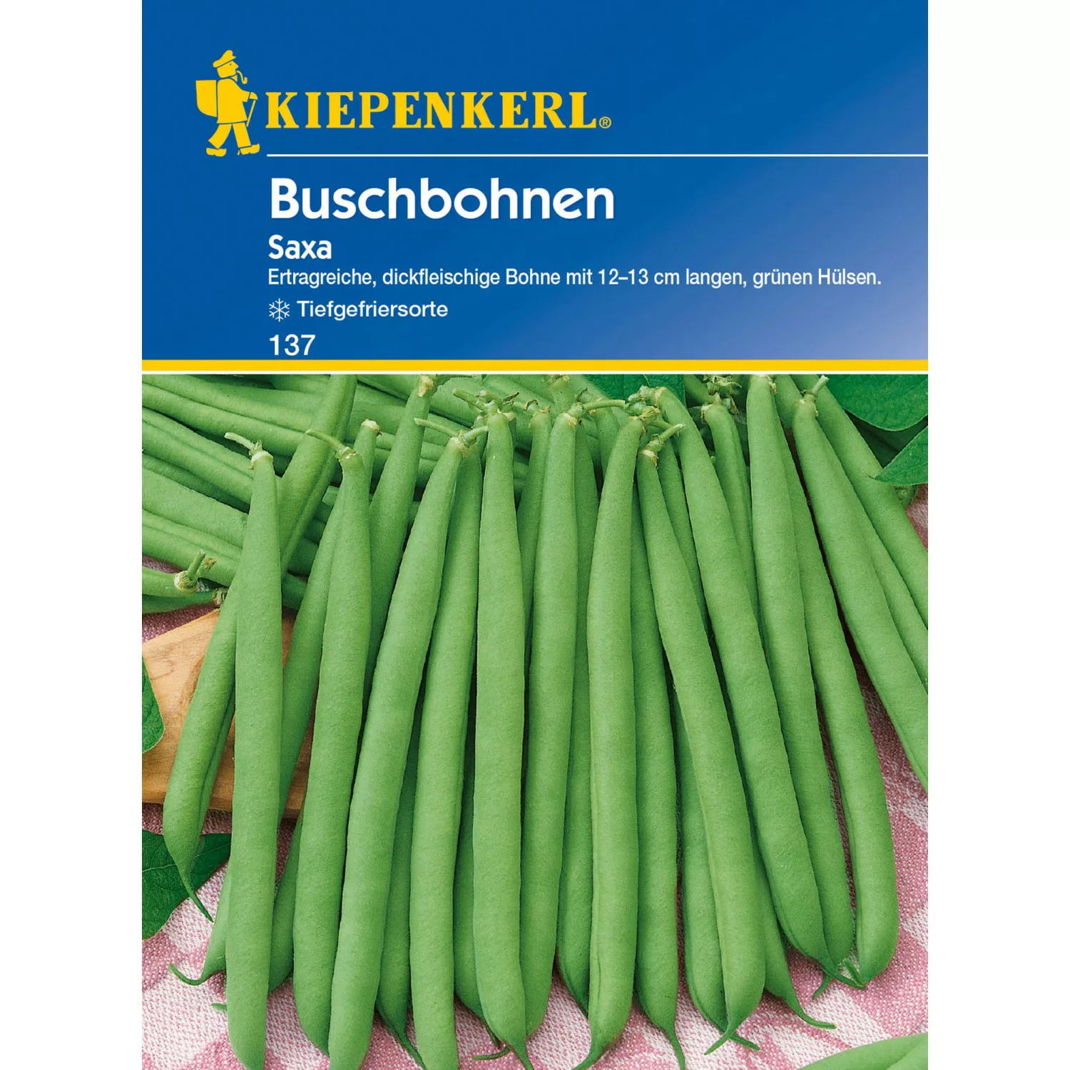 Kiepenkerl Buschbohne Saxa günstig online kaufen