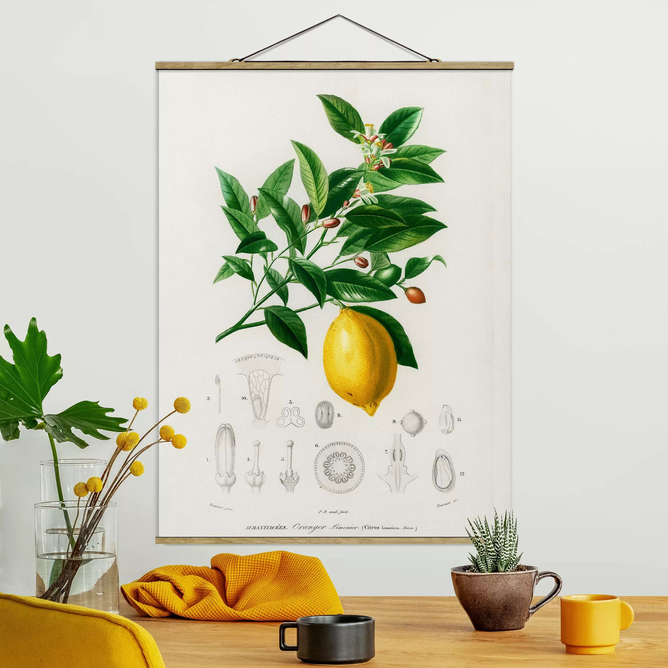 Stoffbild Blumen mit Posterleisten - Hochformat Botanik Vintage Illustratio günstig online kaufen