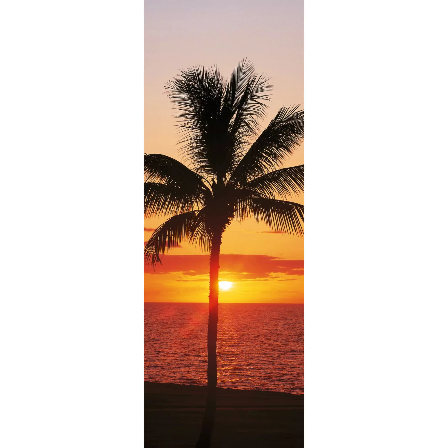 Komar Vliestapete »Hawaii«, 100x280 cm (Breite x Höhe), Vliestapete, 100 cm günstig online kaufen