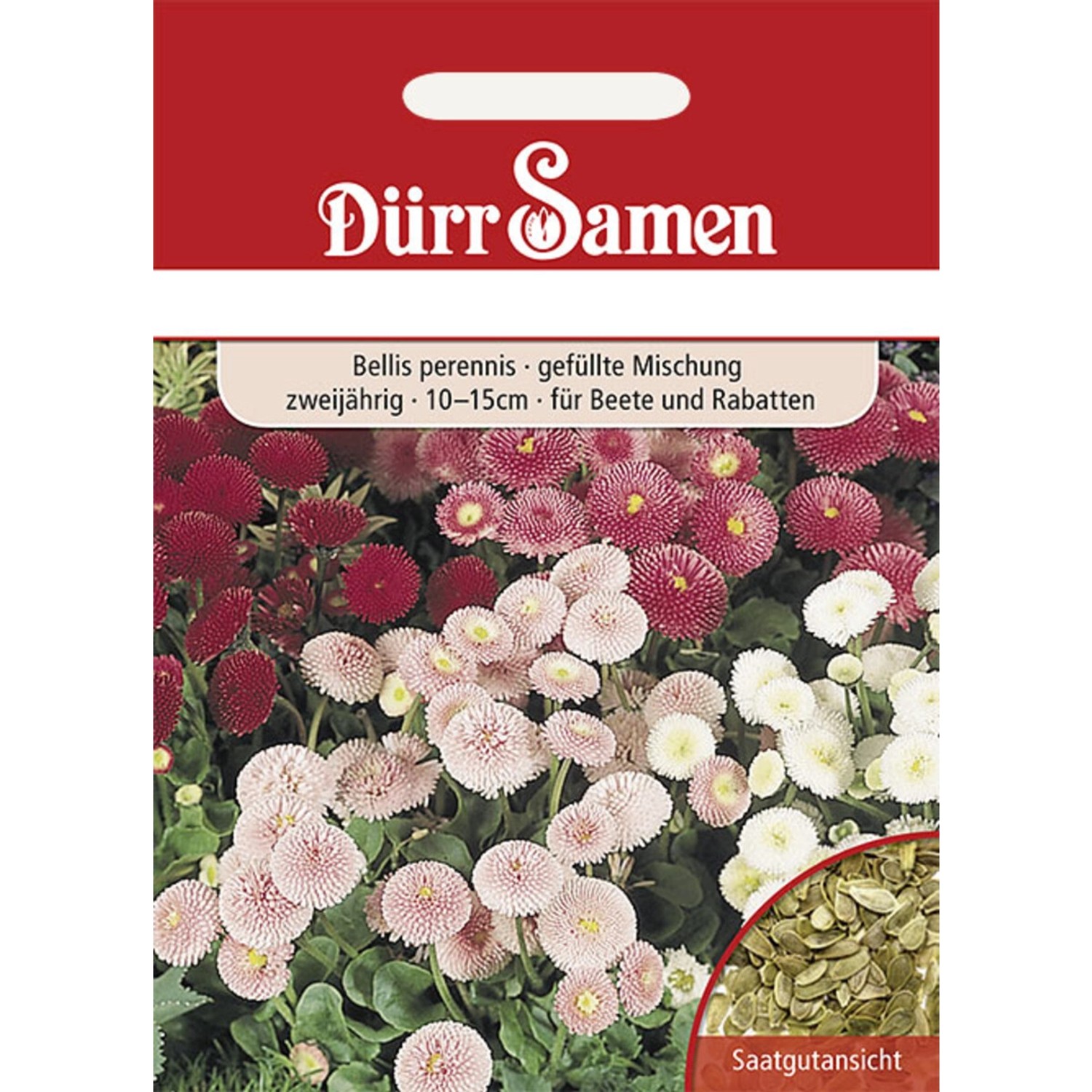Dürr Samen Gänseblümchen Gefüllte Mischung Zweijährig Saatgut günstig online kaufen