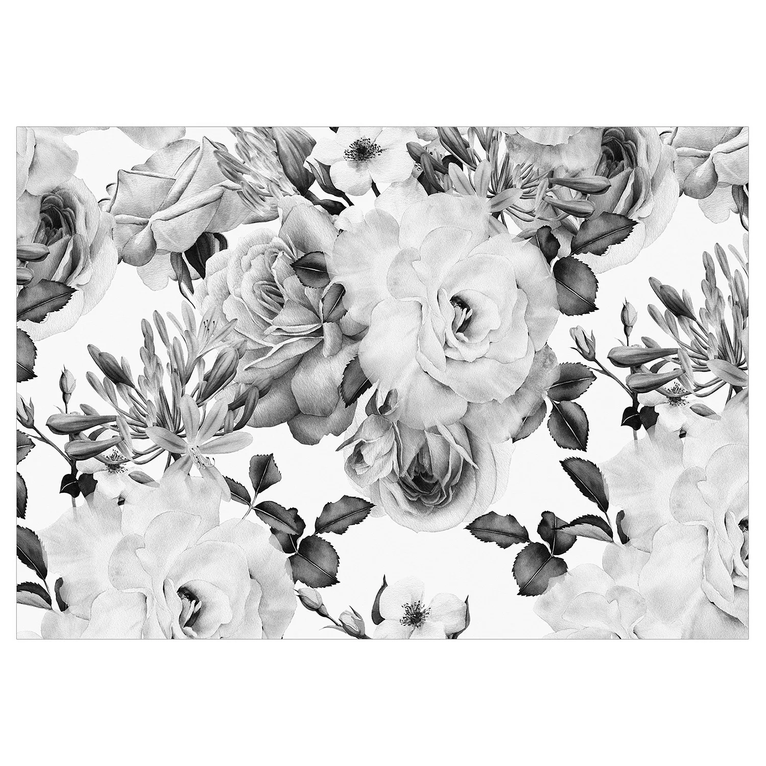 Selbstklebende Fototapete - Sentimental Garden (black And White) günstig online kaufen