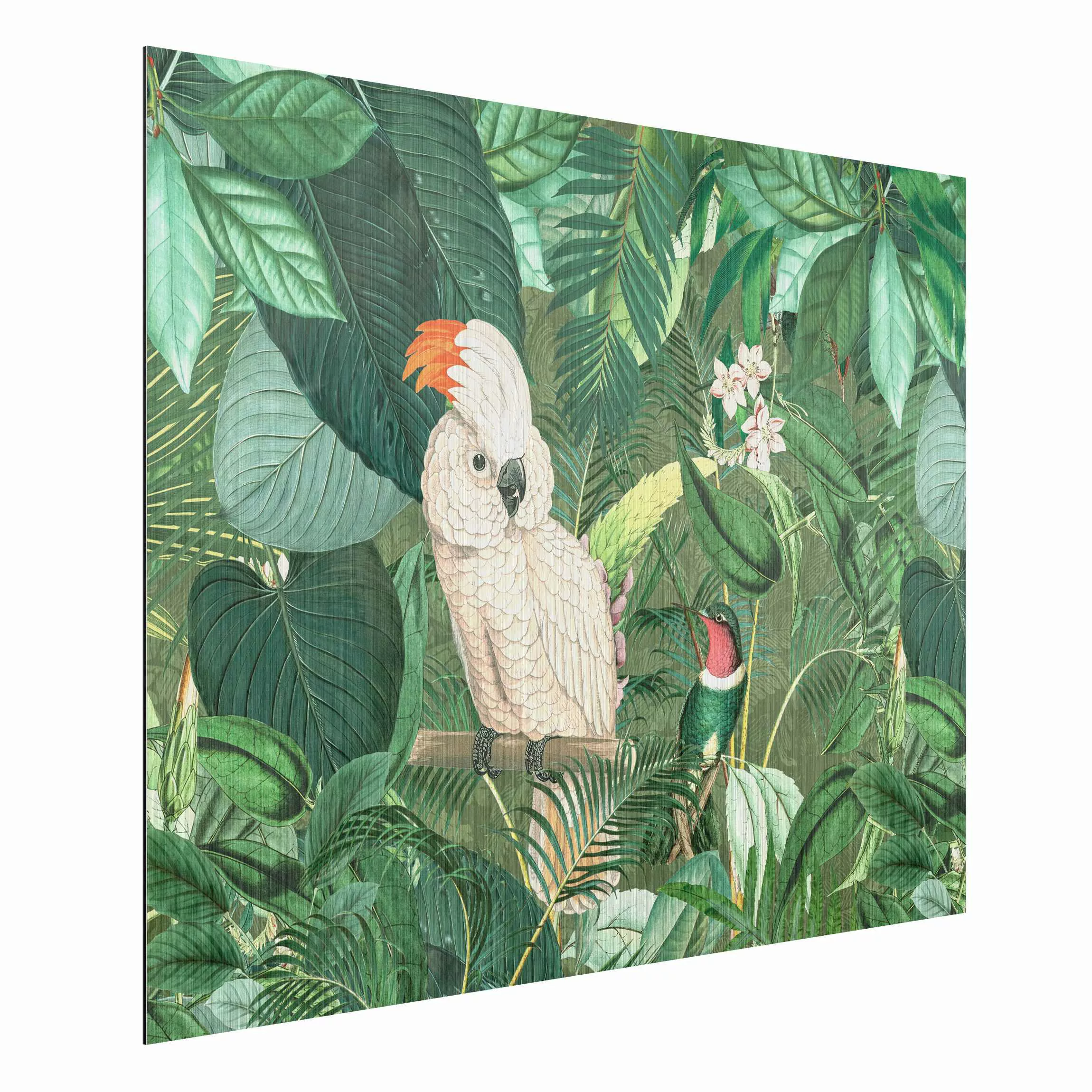 Alu-Dibond Bild Blumen - Querformat 4:3 Vintage Collage - Kakadu und Kolibr günstig online kaufen