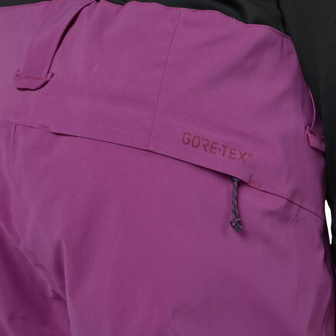 Burton AK Gore-Tex Summit Pant Damen-Skihose Grapeseed günstig online kaufen