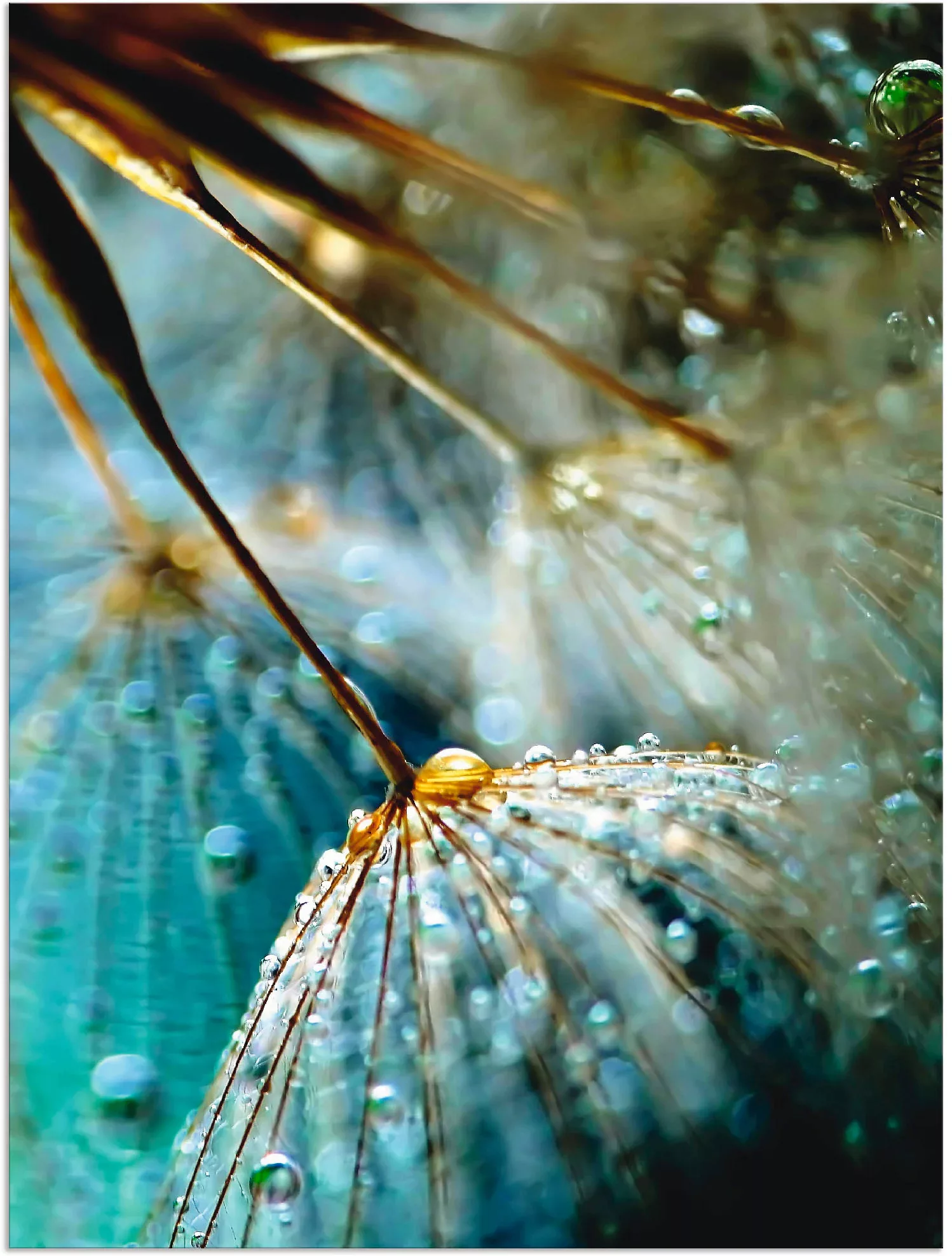 Artland Wandbild "Pusteblume Mystische Schönheit", Blumen, (1 St.), als Alu günstig online kaufen