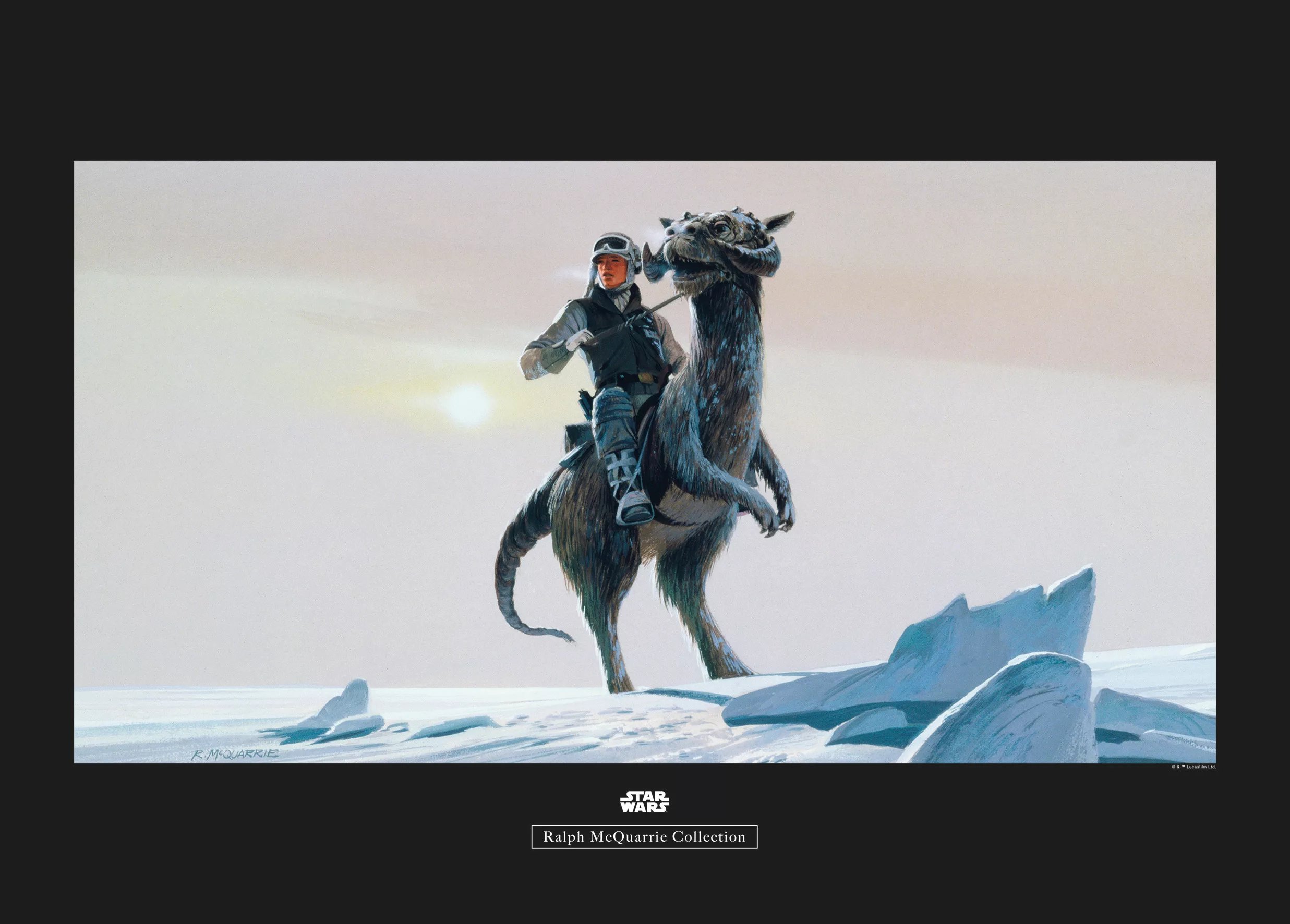 Komar Wandbild Star Wars Tauntaun 70 x 50 cm günstig online kaufen