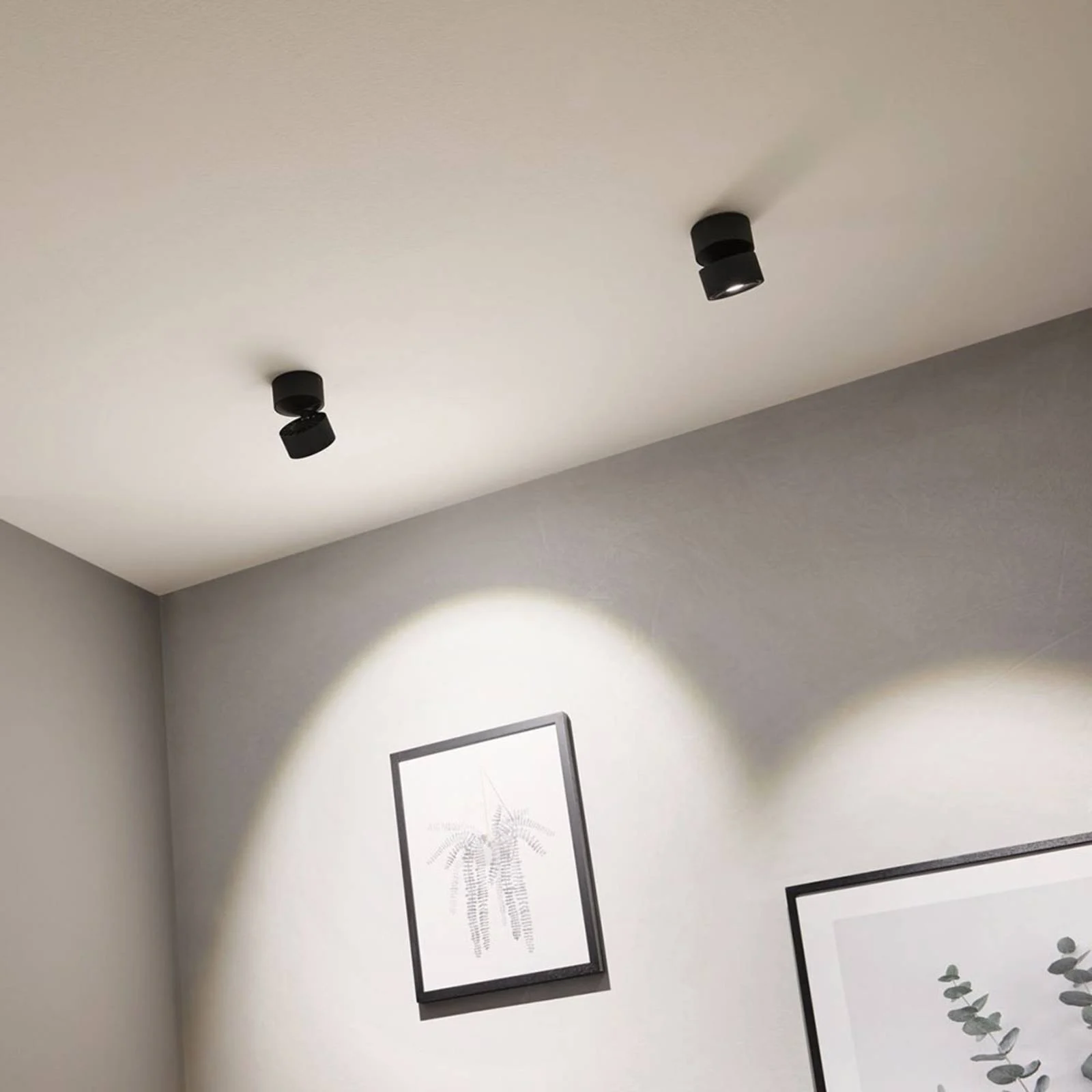 Paulmann Spircle LED-Aufbaustrahler schwarz matt günstig online kaufen