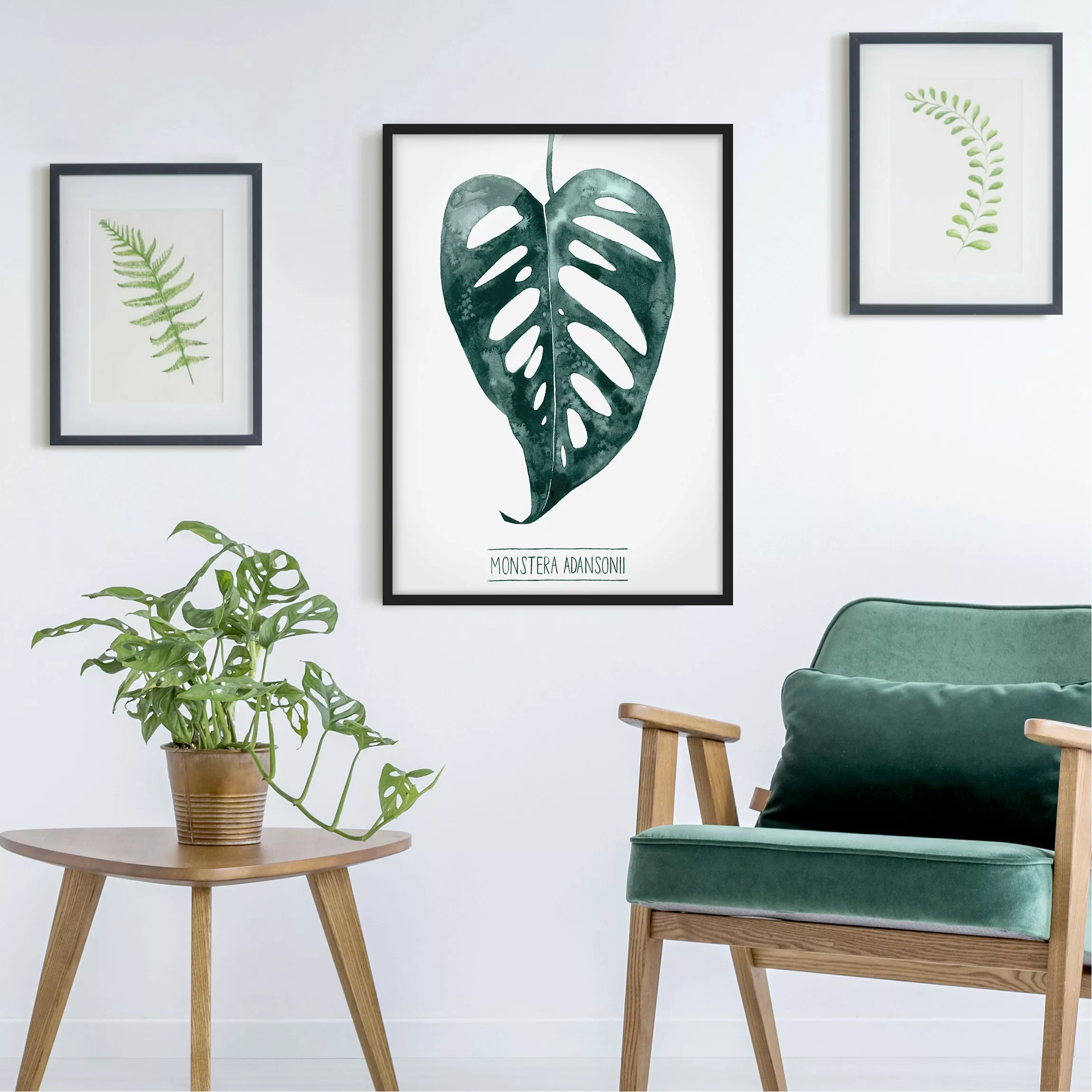 Bild mit Rahmen Kunstdruck - Hochformat Smaragdgrüne Monstera Adansonii günstig online kaufen