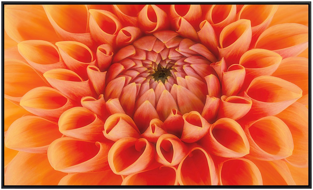 Papermoon Infrarotheizung »Blume«, sehr angenehme Strahlungswärme günstig online kaufen