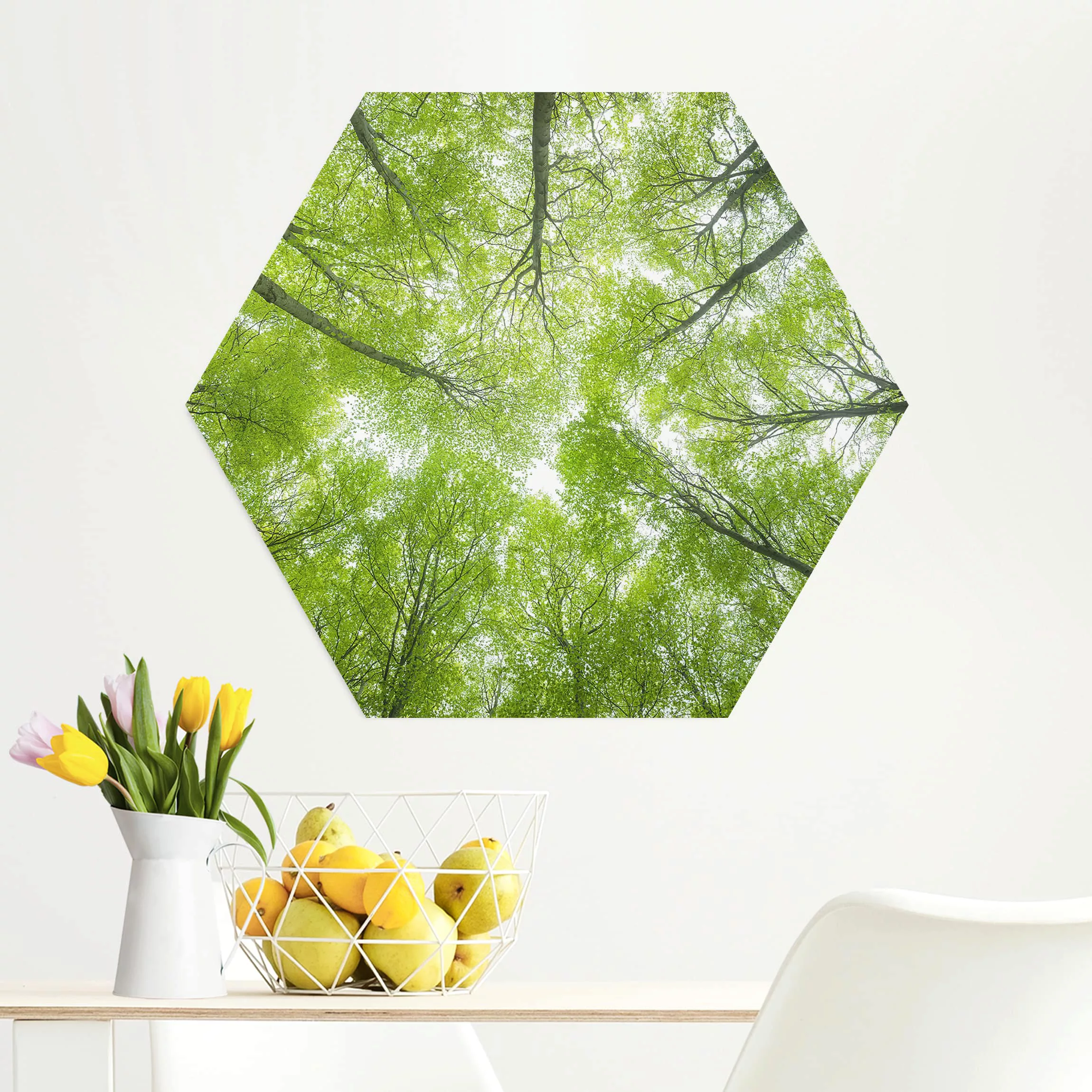 Hexagon-Alu-Dibond Bild Natur & Landschaft Buchenwald am Lindkogel günstig online kaufen