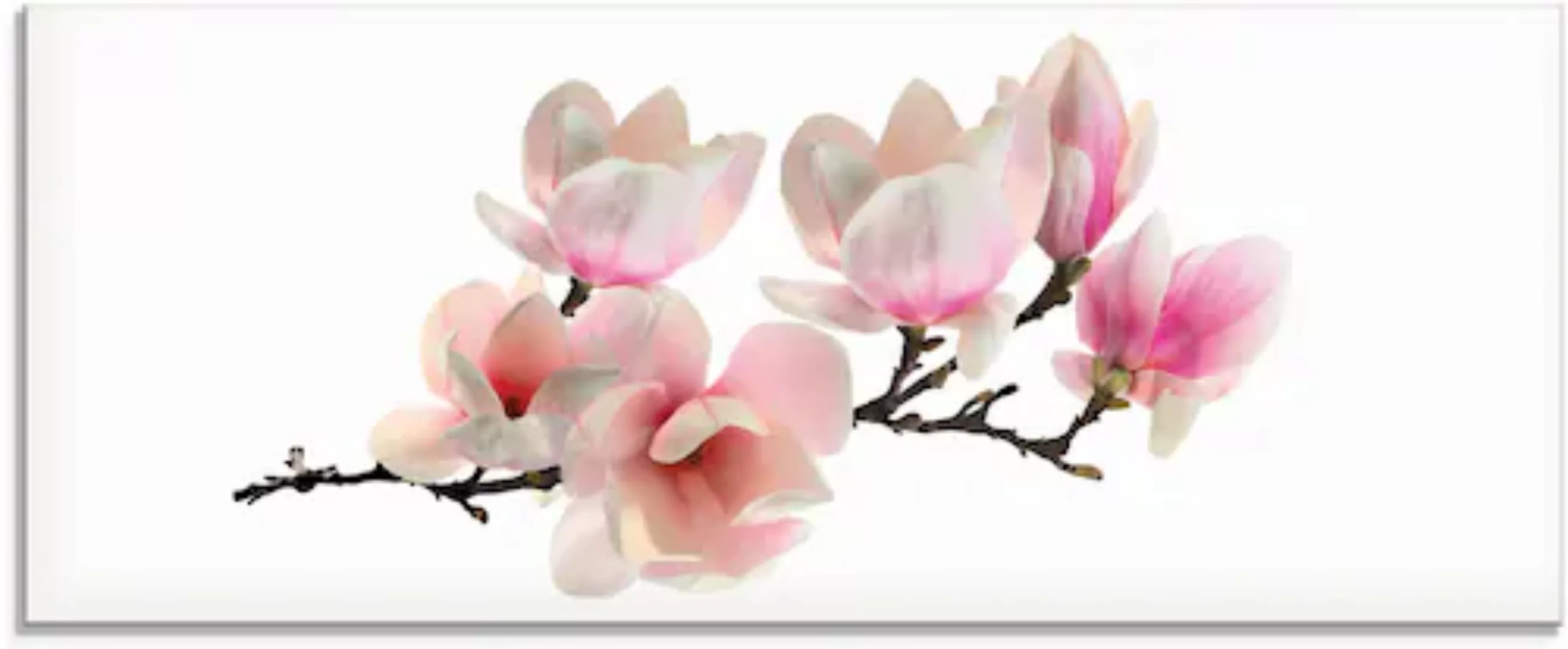 Artland Glasbild »Magnolie«, Blumen, (1 St.) günstig online kaufen