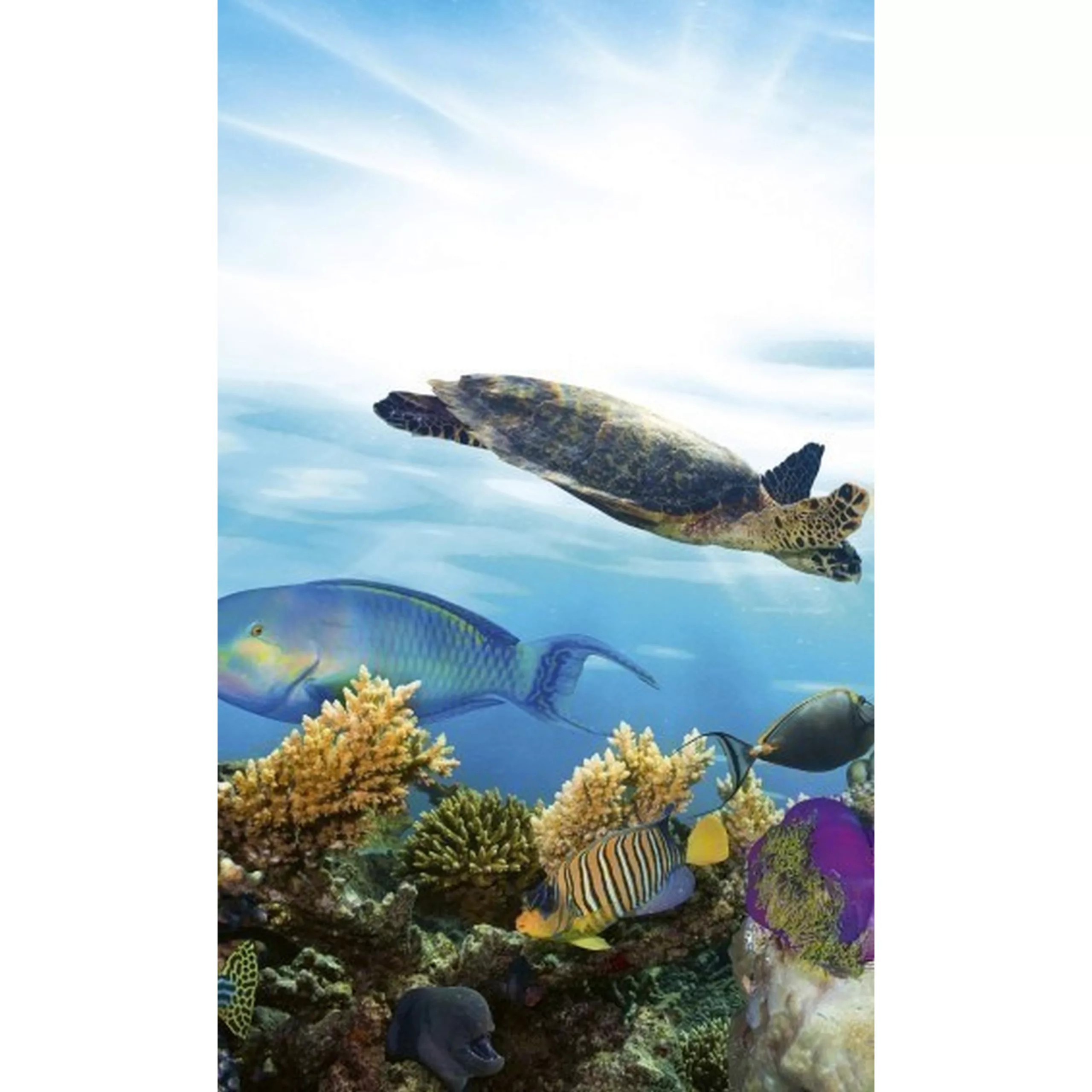 Fototapete FISH | MS-2-0216 | Blau | Digitaldruck auf Vliesträger günstig online kaufen