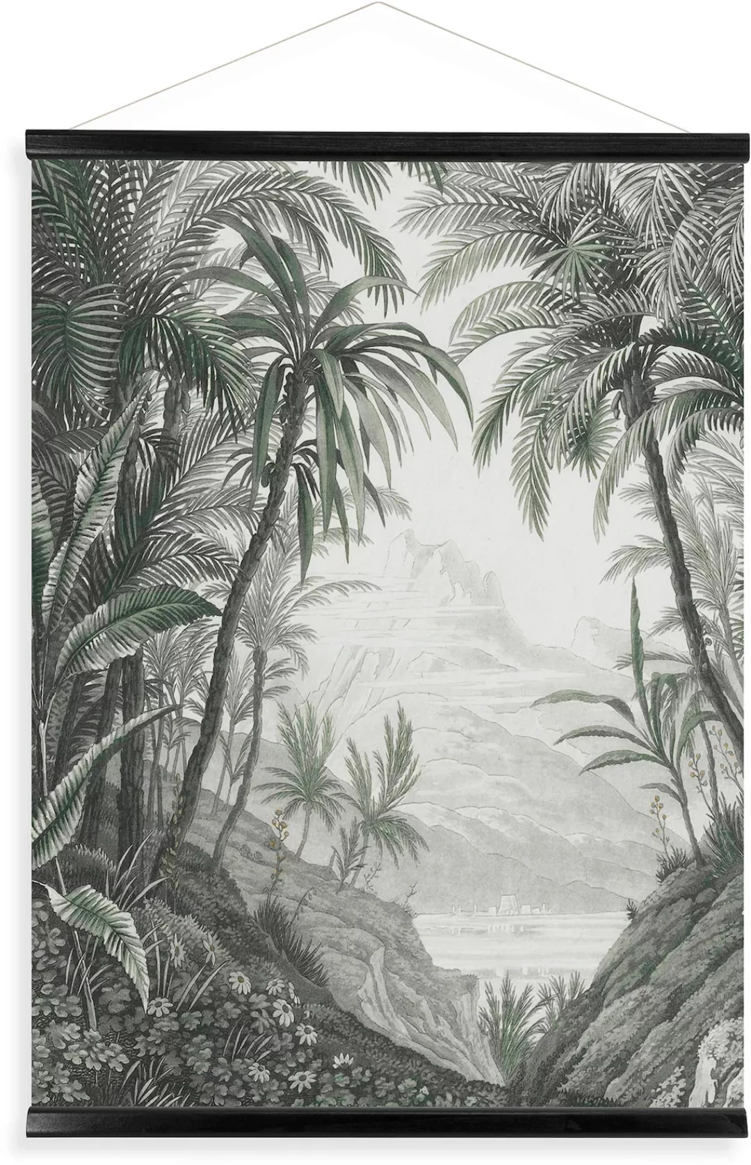 Art for the home Leinwandbild "Jungle Landschaft Schwarz/Weiss", (1 St.), L günstig online kaufen