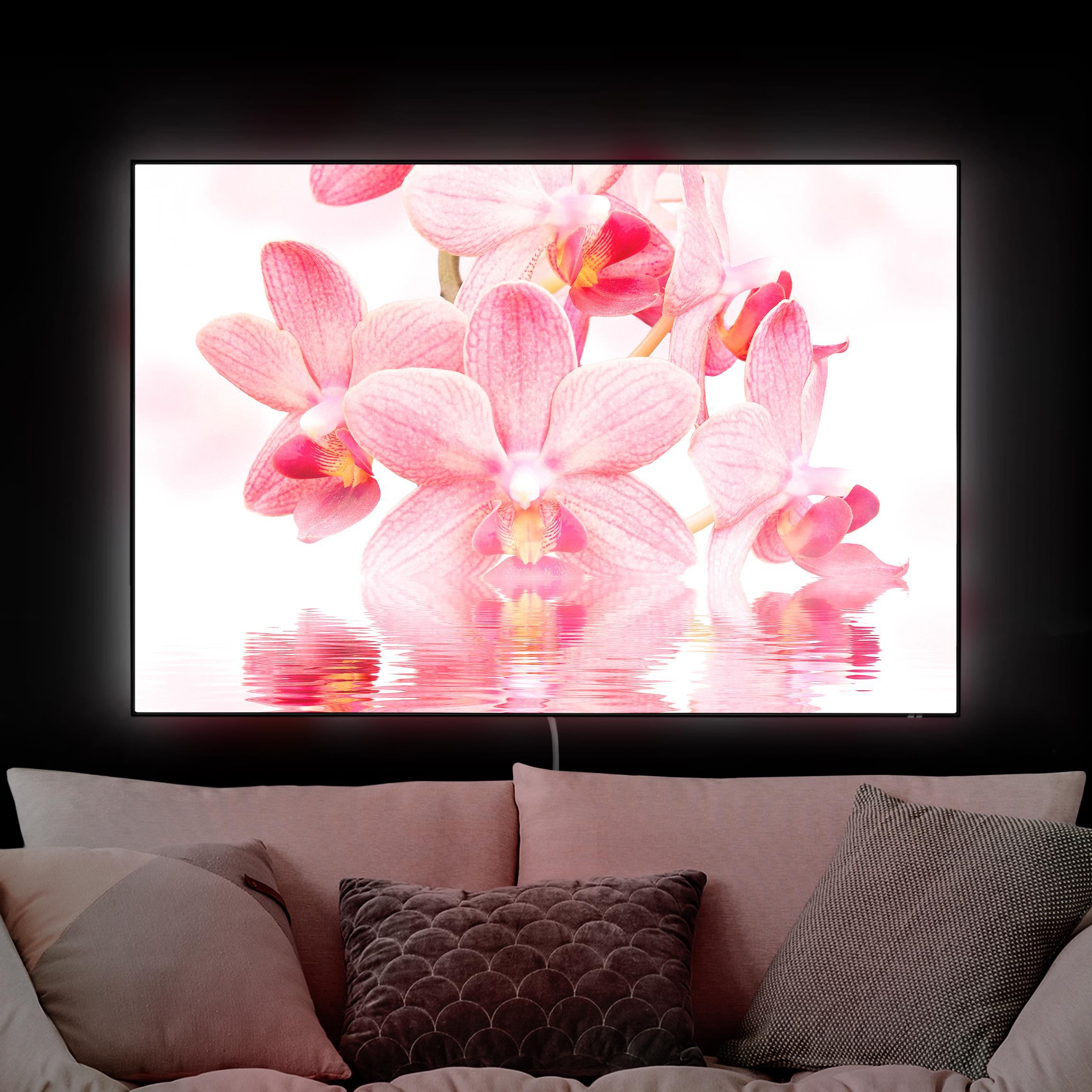 LED-Wechselbild Rosa Orchideen auf Wasser günstig online kaufen