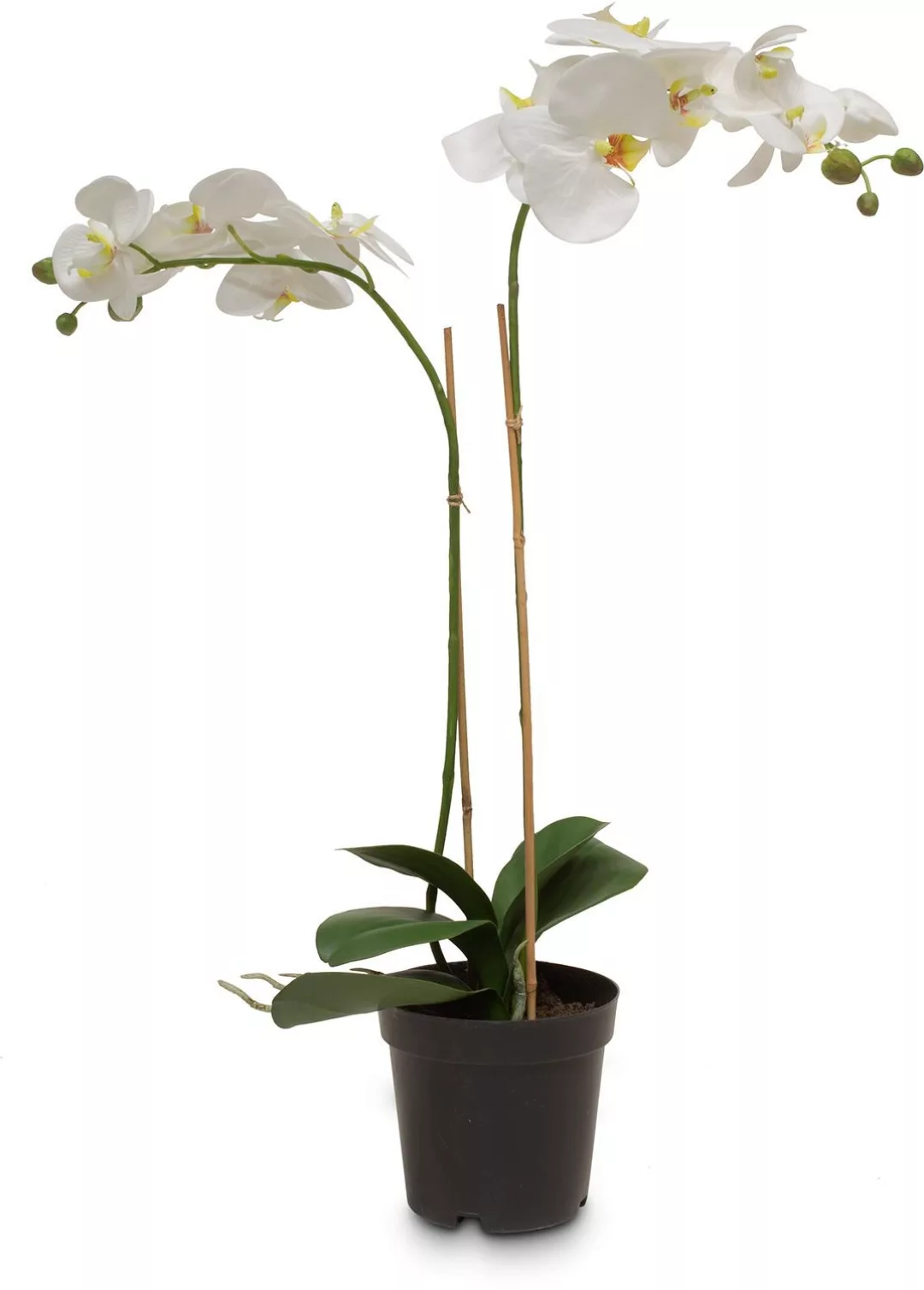 Schmetterlingsorchidee Phalaenopsis Kunstpflanze 71 cm günstig online kaufen