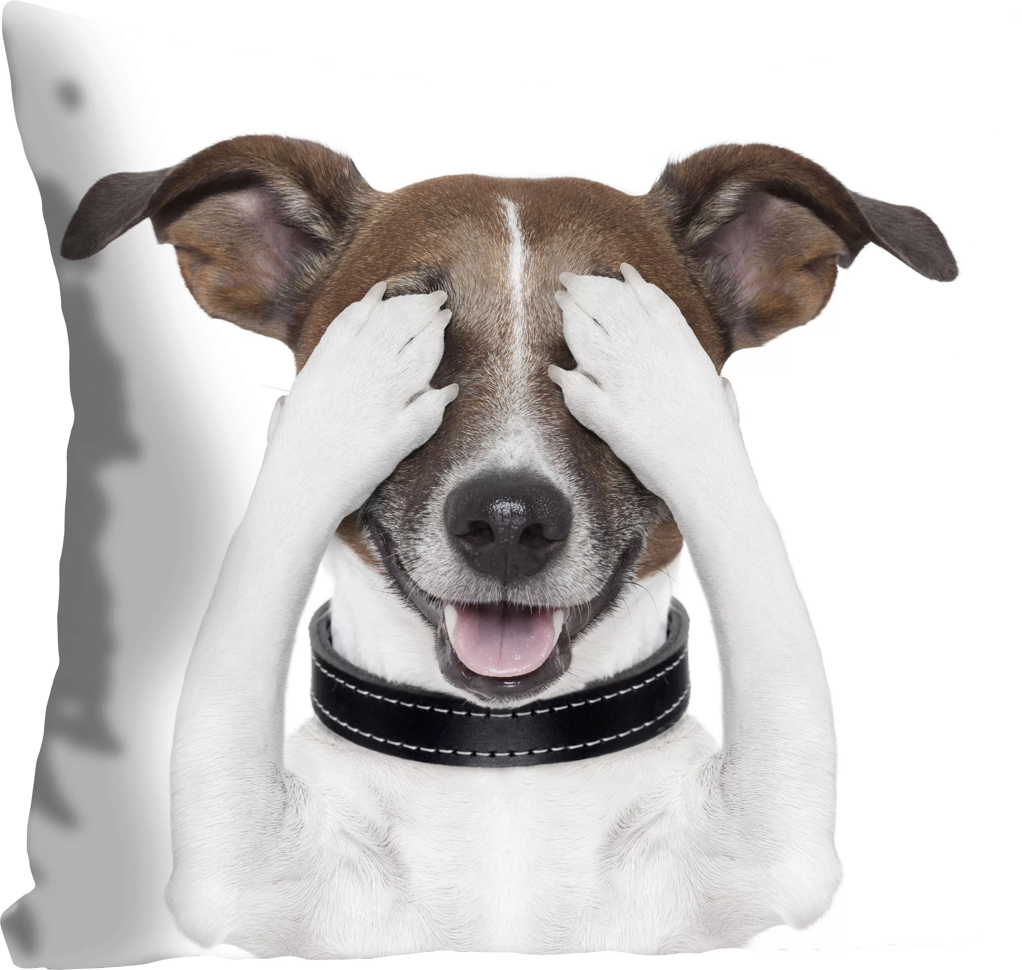 queence Dekokissen »Paul«, mit einem augenzuhaltenden Hund, Kissenhülle ohn günstig online kaufen