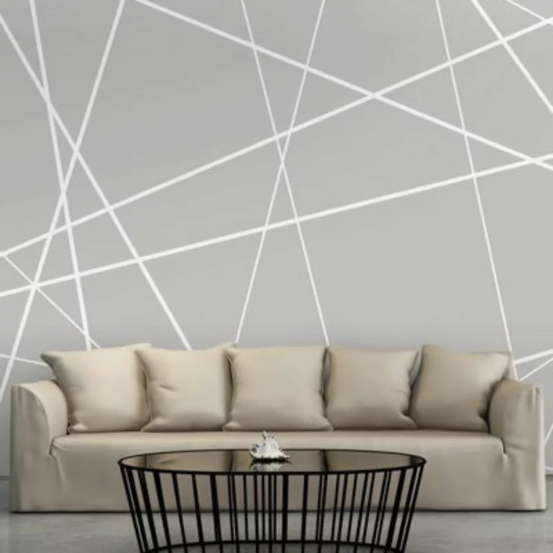 artgeist Fototapete Modern Cobweb weiß/grau Gr. 250 x 175 günstig online kaufen