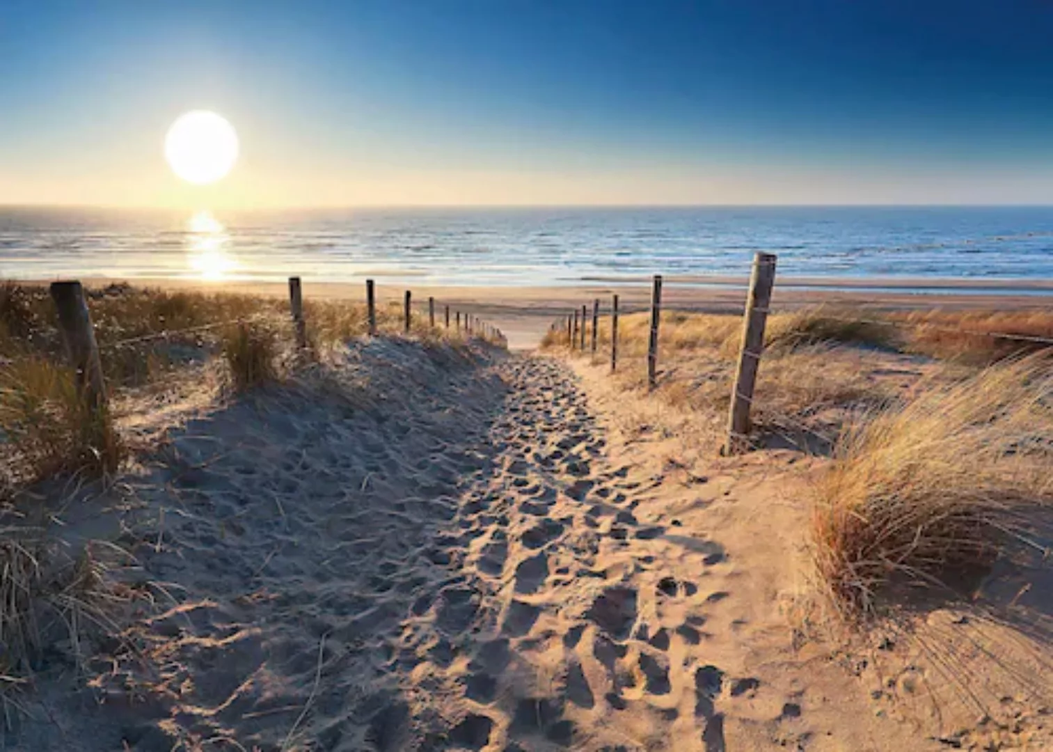 Reinders Deco-Panel "Dünenweg zum Meer" günstig online kaufen