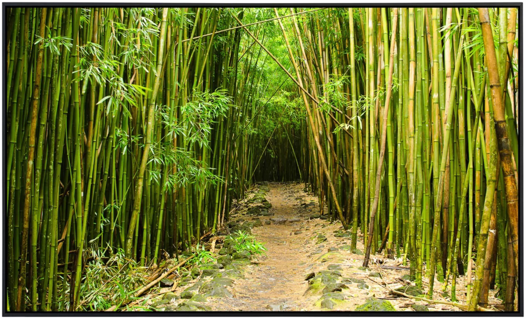 Papermoon Infrarotheizung »Bambuswald Hawaii« günstig online kaufen