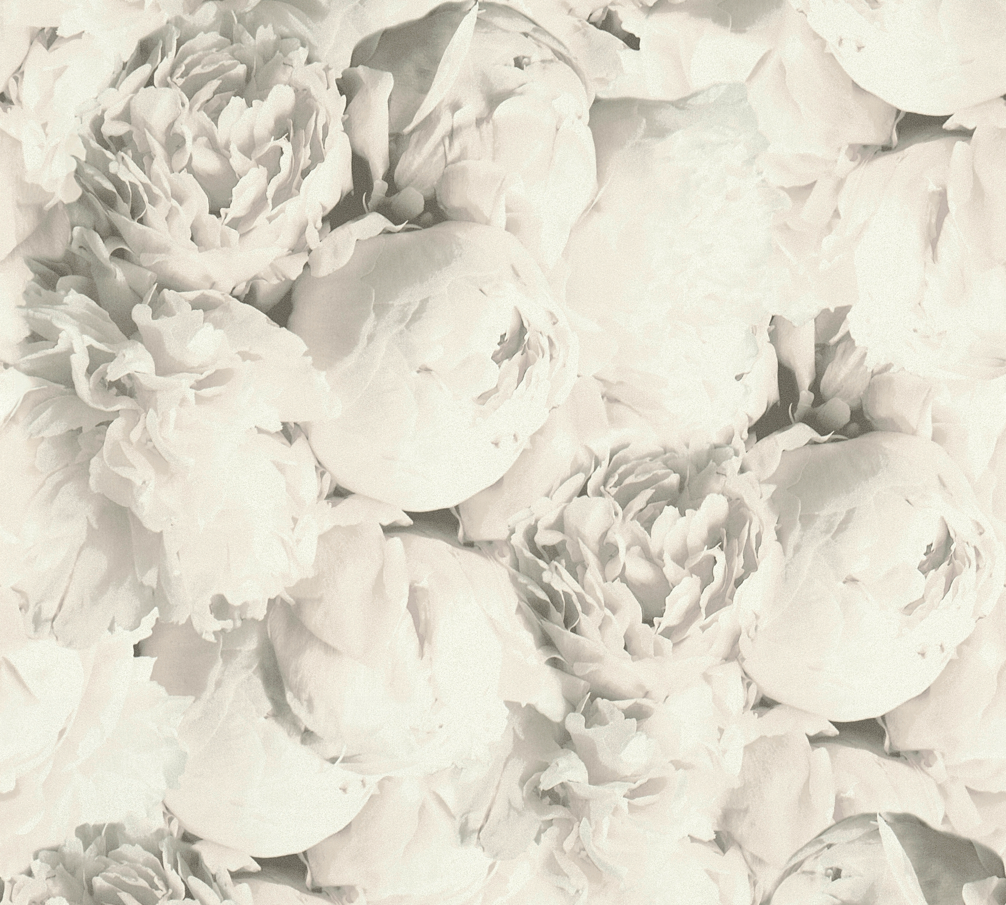 Bricoflor Nostalgische Tapete mit Rosen Vlies Blumentapete mit Pfingstrosen günstig online kaufen